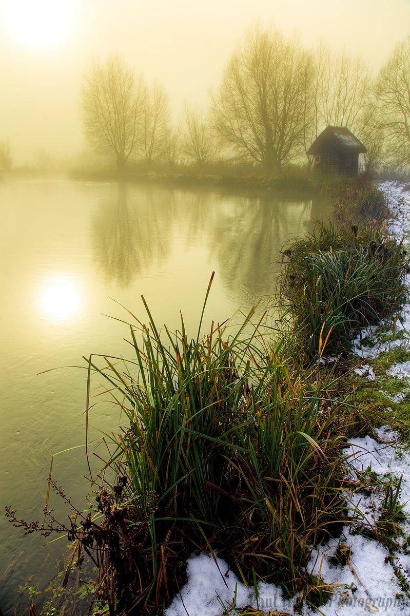 Una mattina nebbiosa d'oro