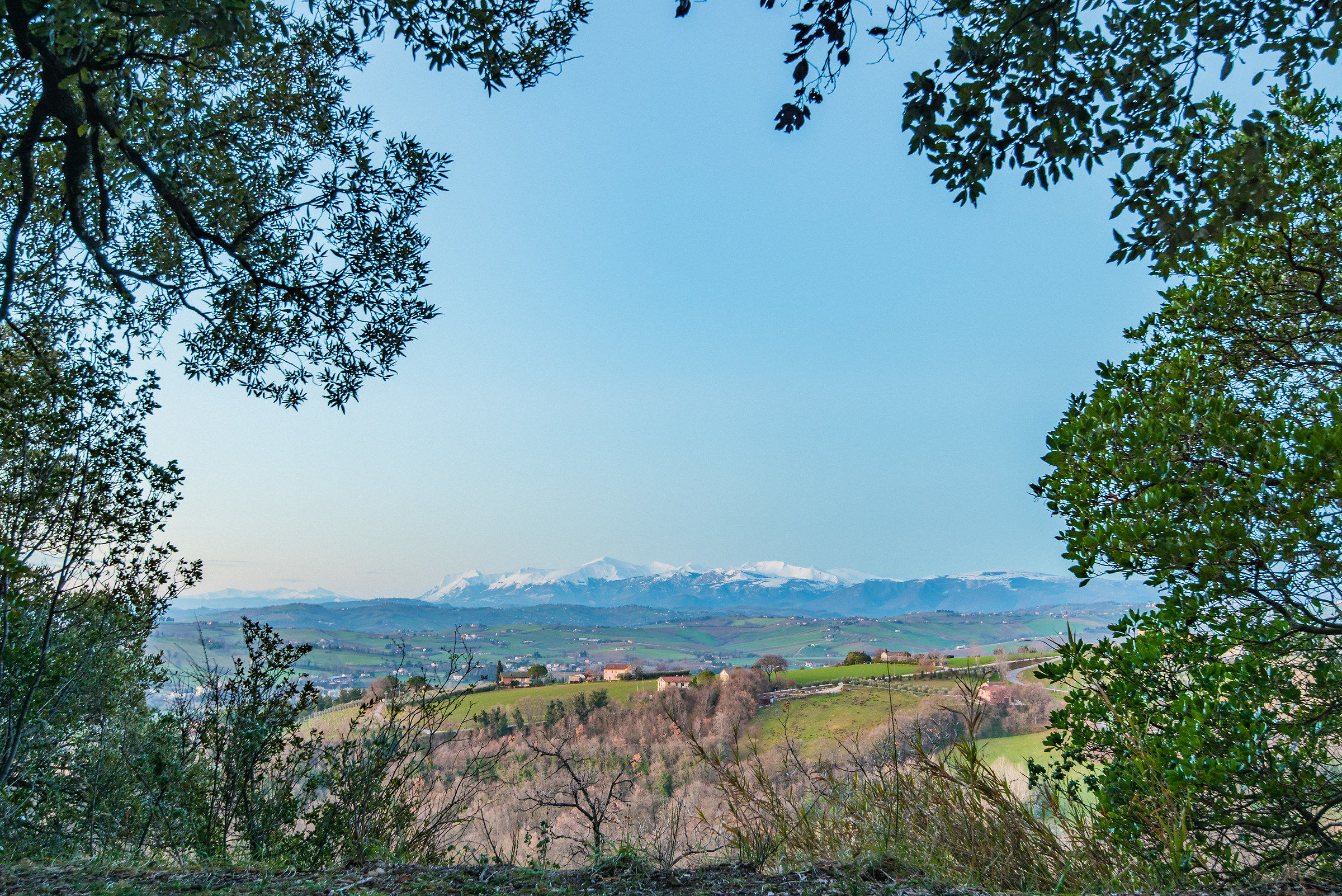 Brands and Sibillini