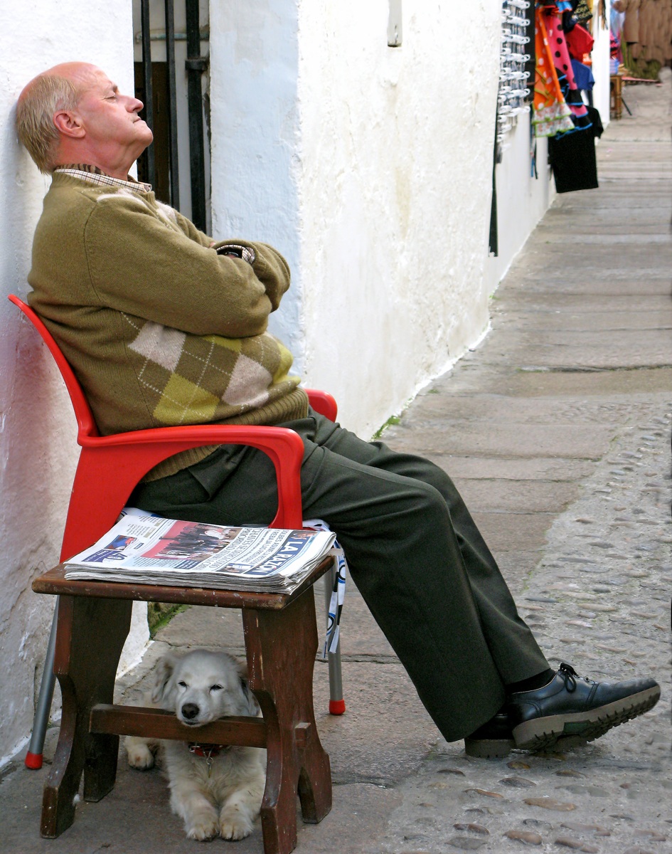 Il migliore amico del cane...