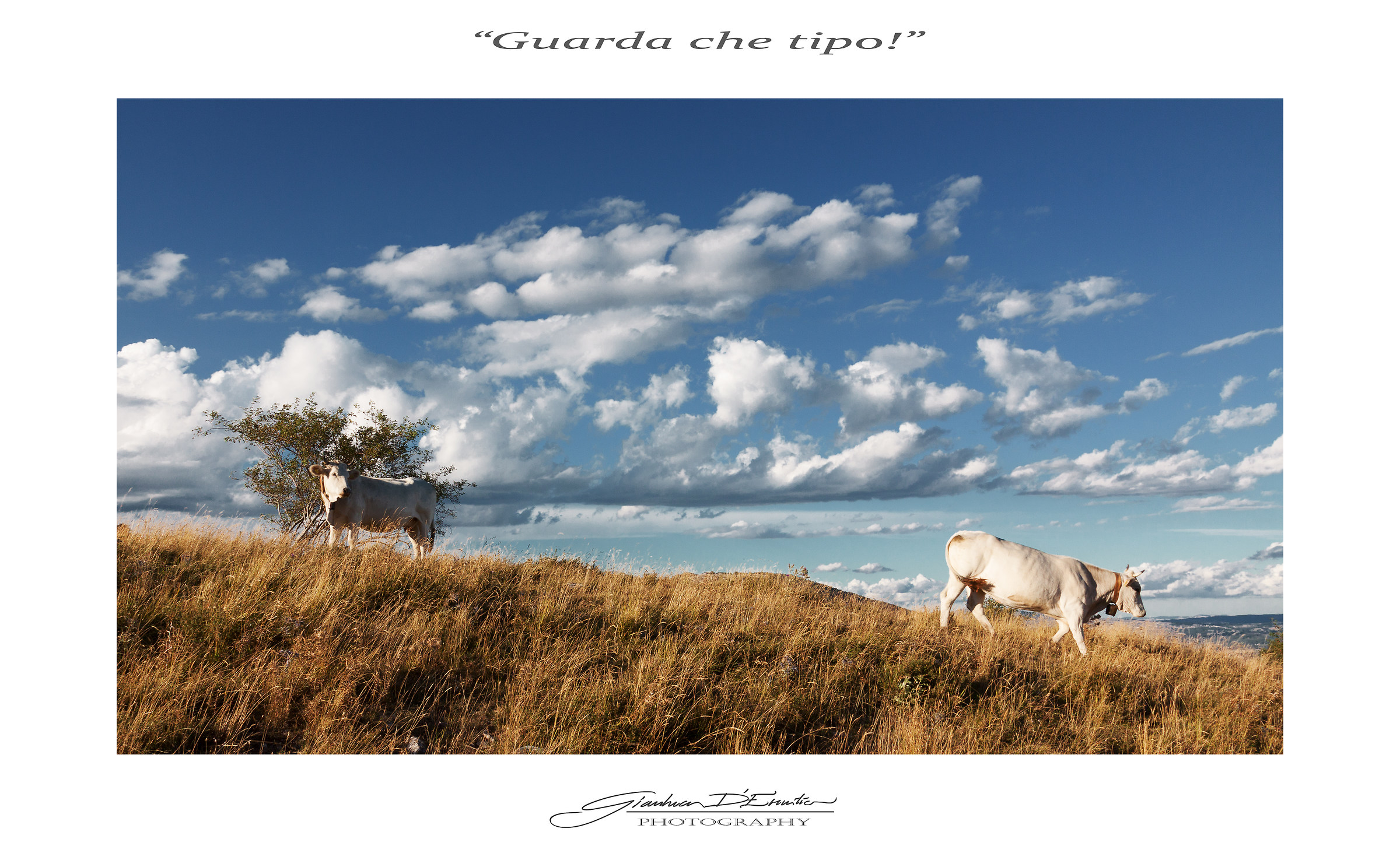 "Guarda che tipo......"