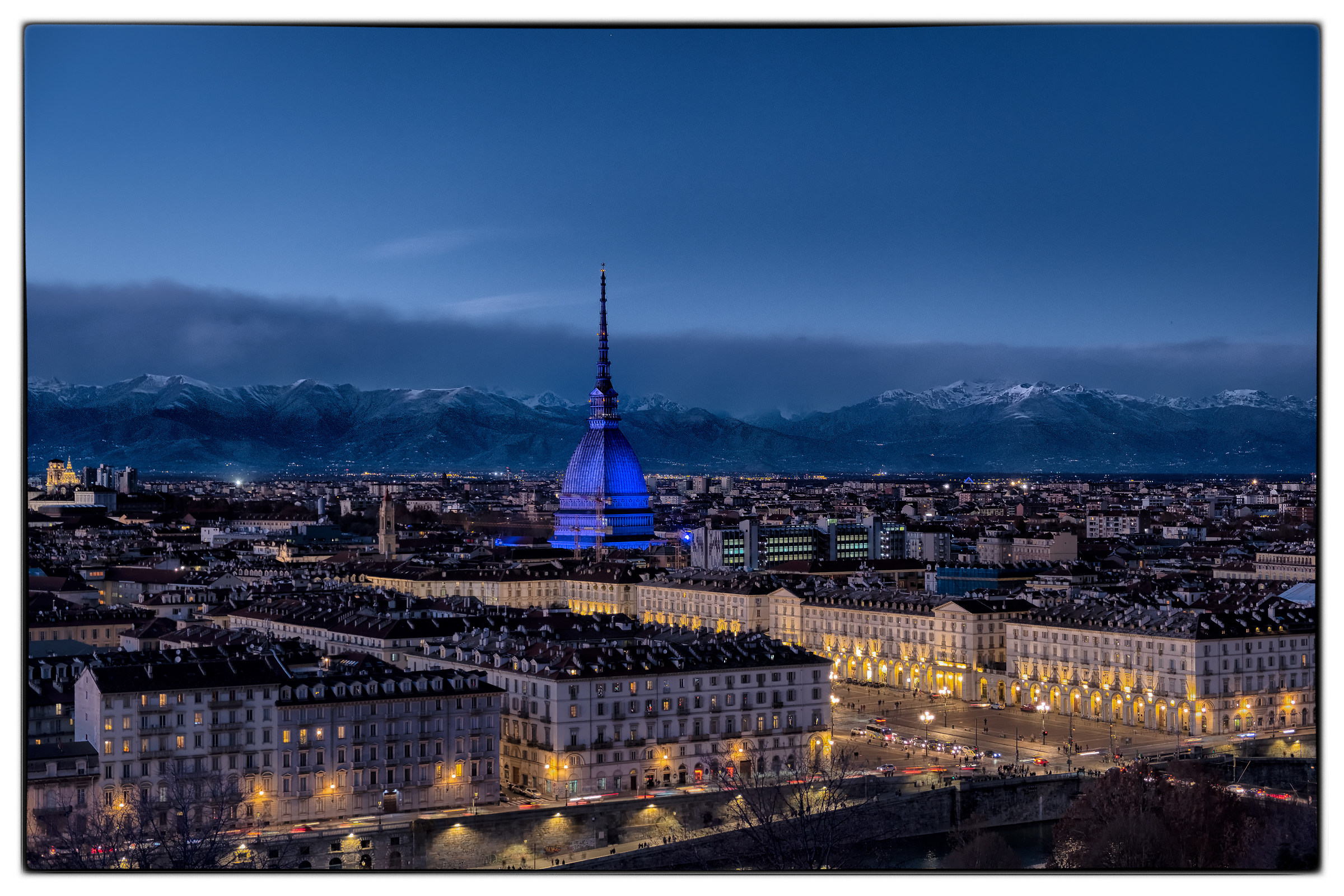 The mole is dressed in blue, at the blue Hour