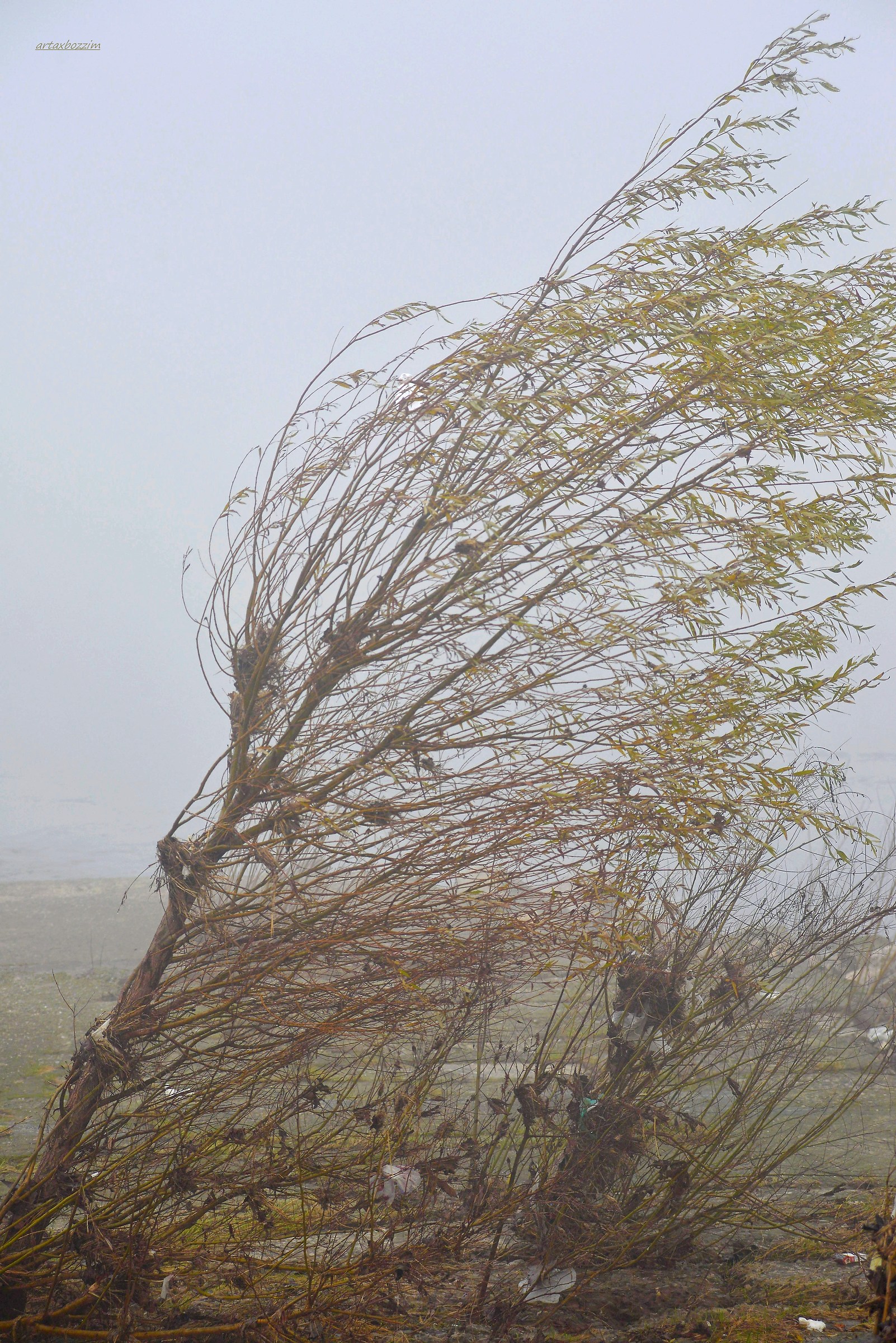 The full of the Po has passed