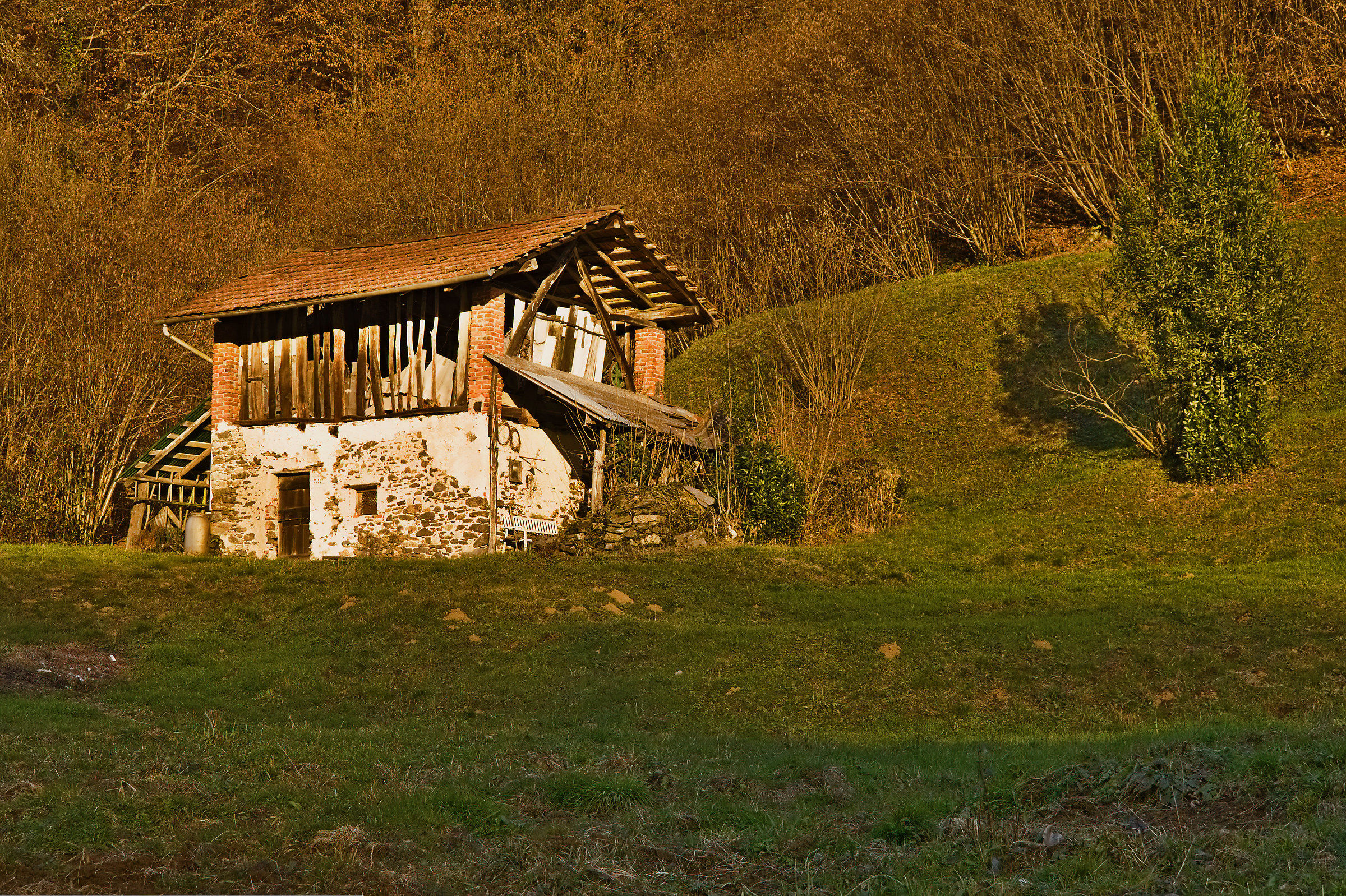 Il cascinale e l'alloro