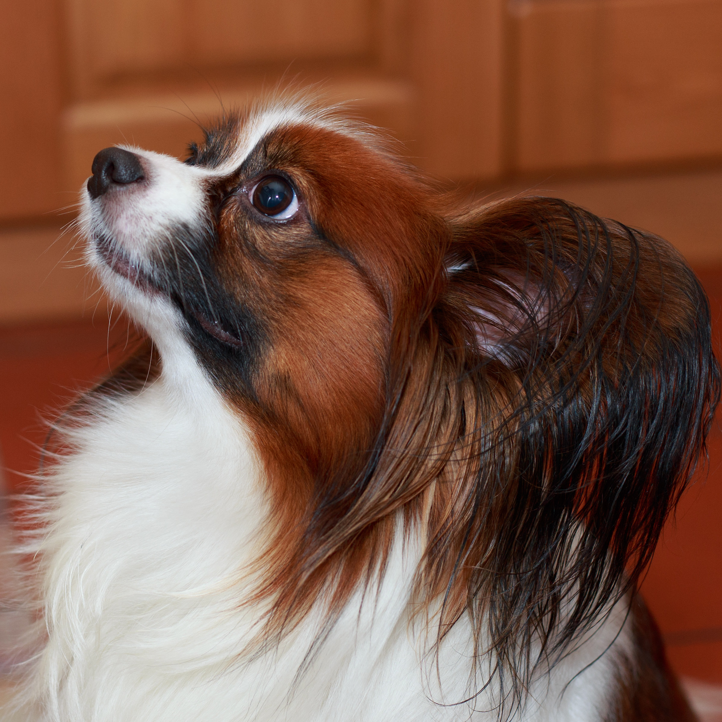 Is there something for me?