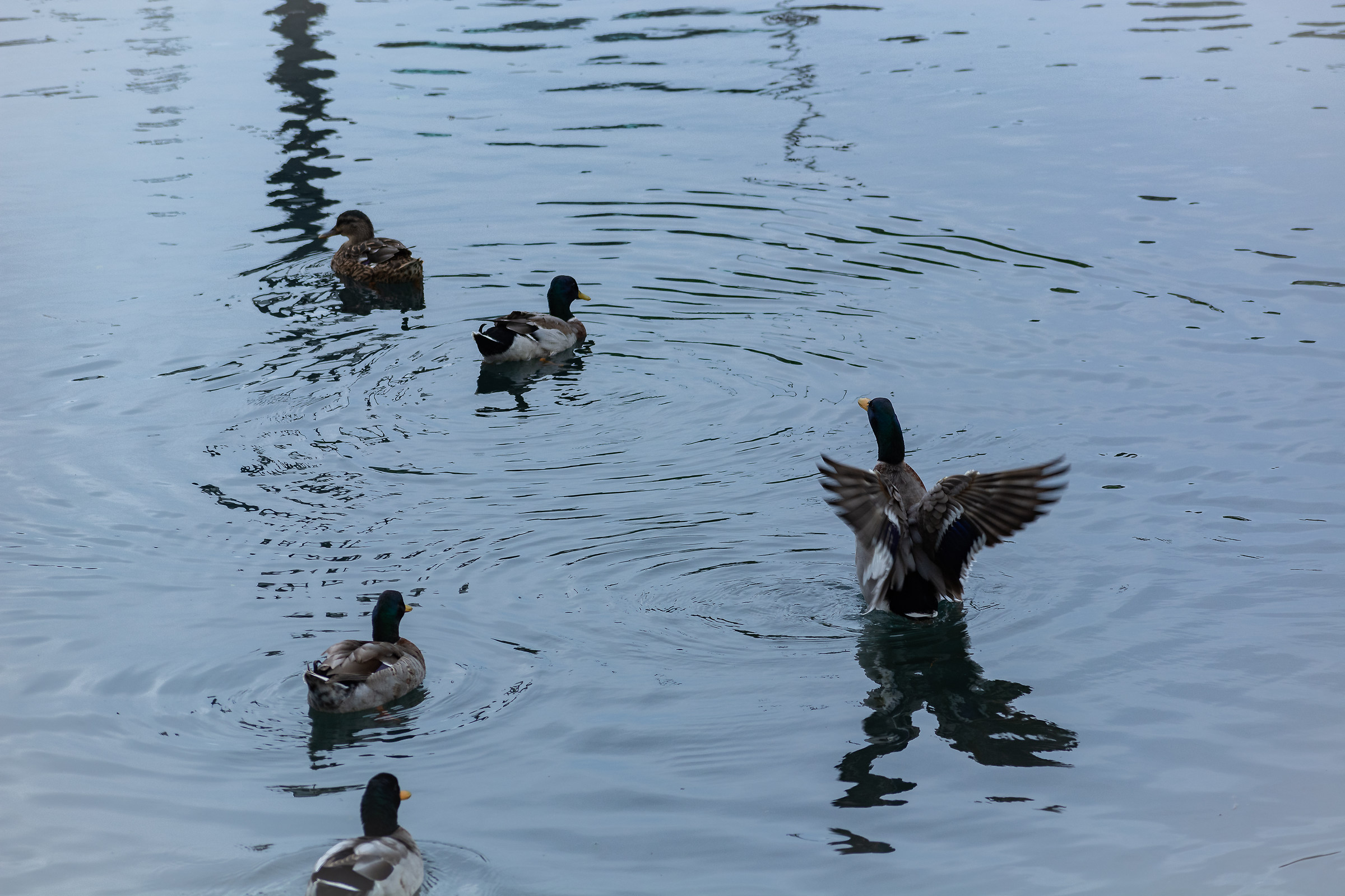 in giro per terracina