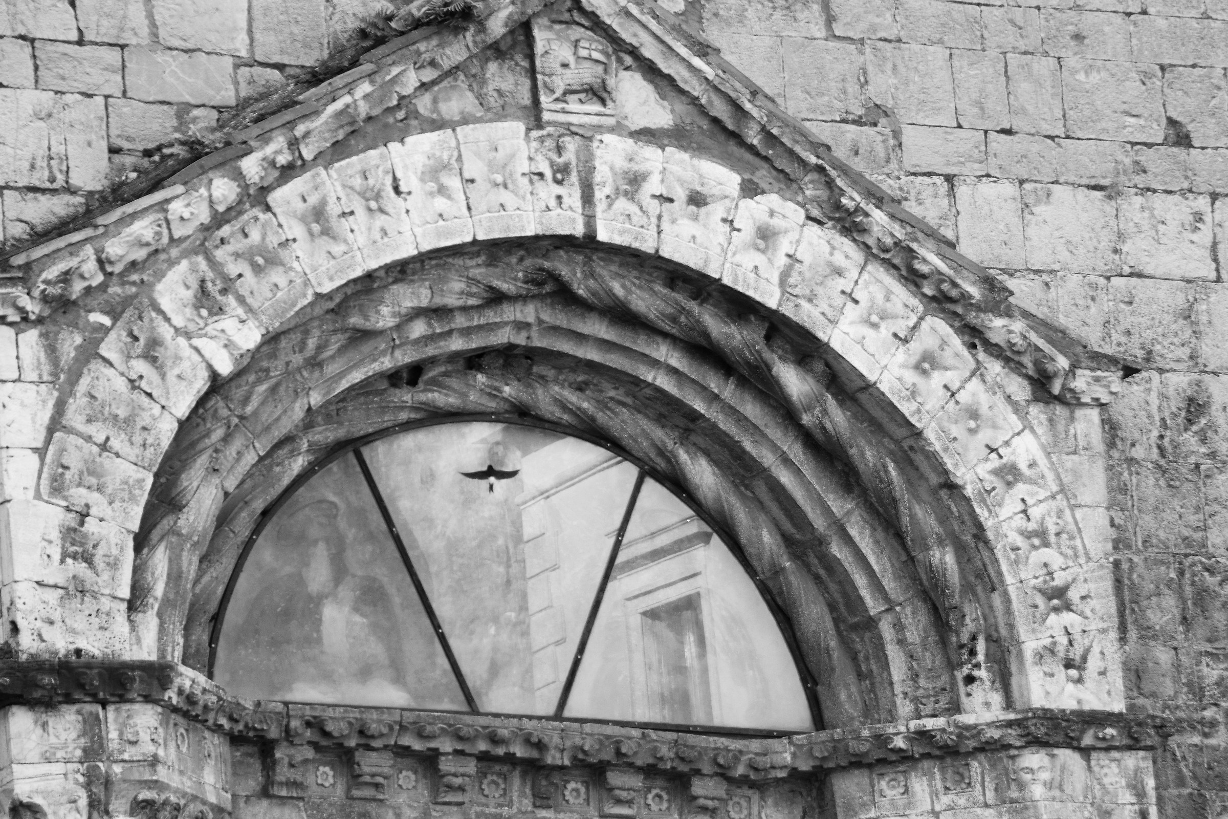 Il volo della rondine