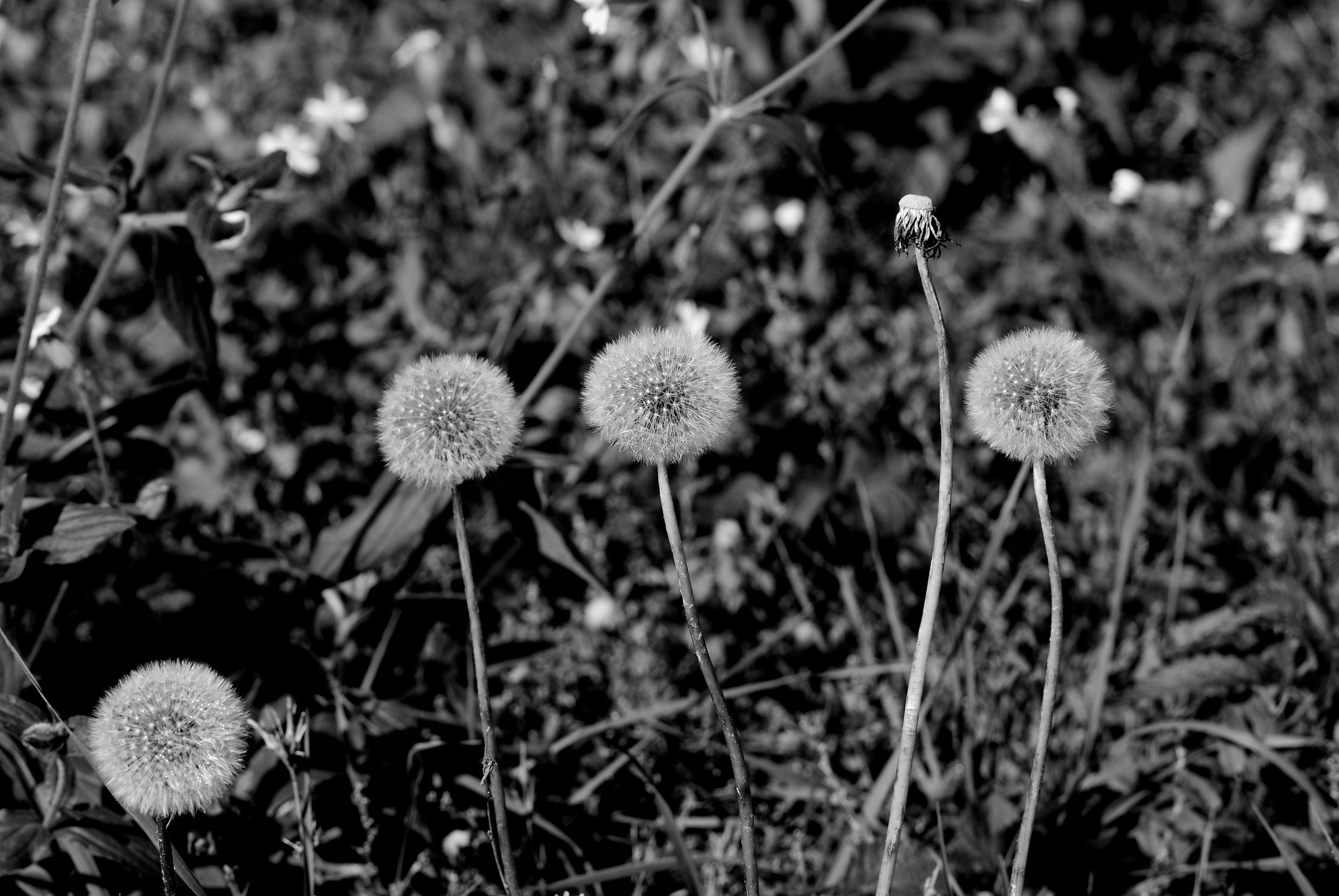 You have to stay lower