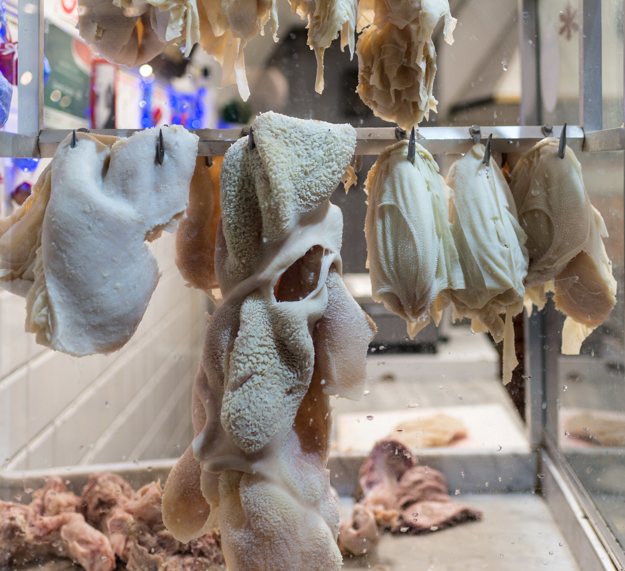 Showcase of a Trippair