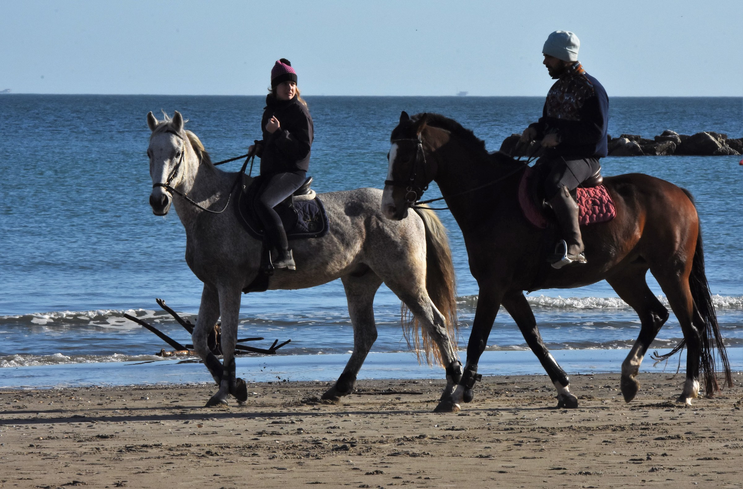At sea I saw the horses.... and not the surf!!