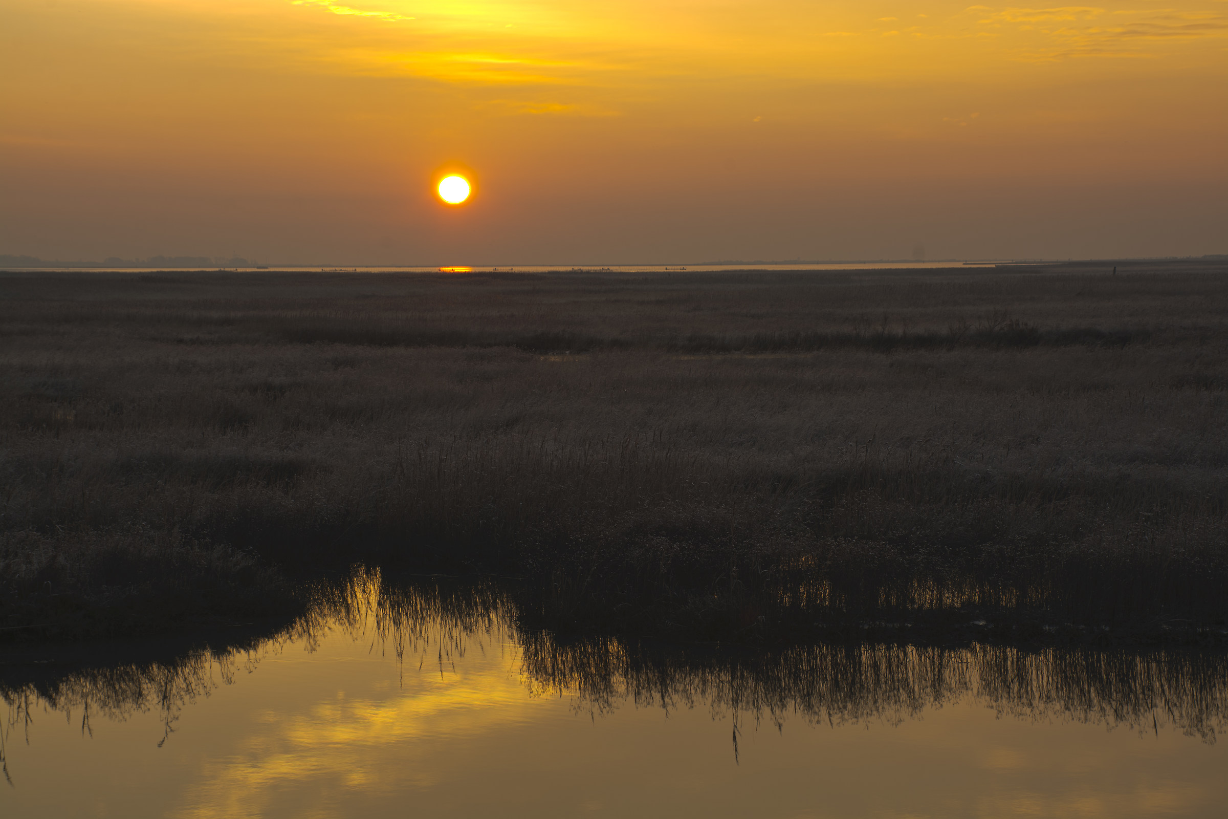 Sunrise in the lagoon Veneziana_9