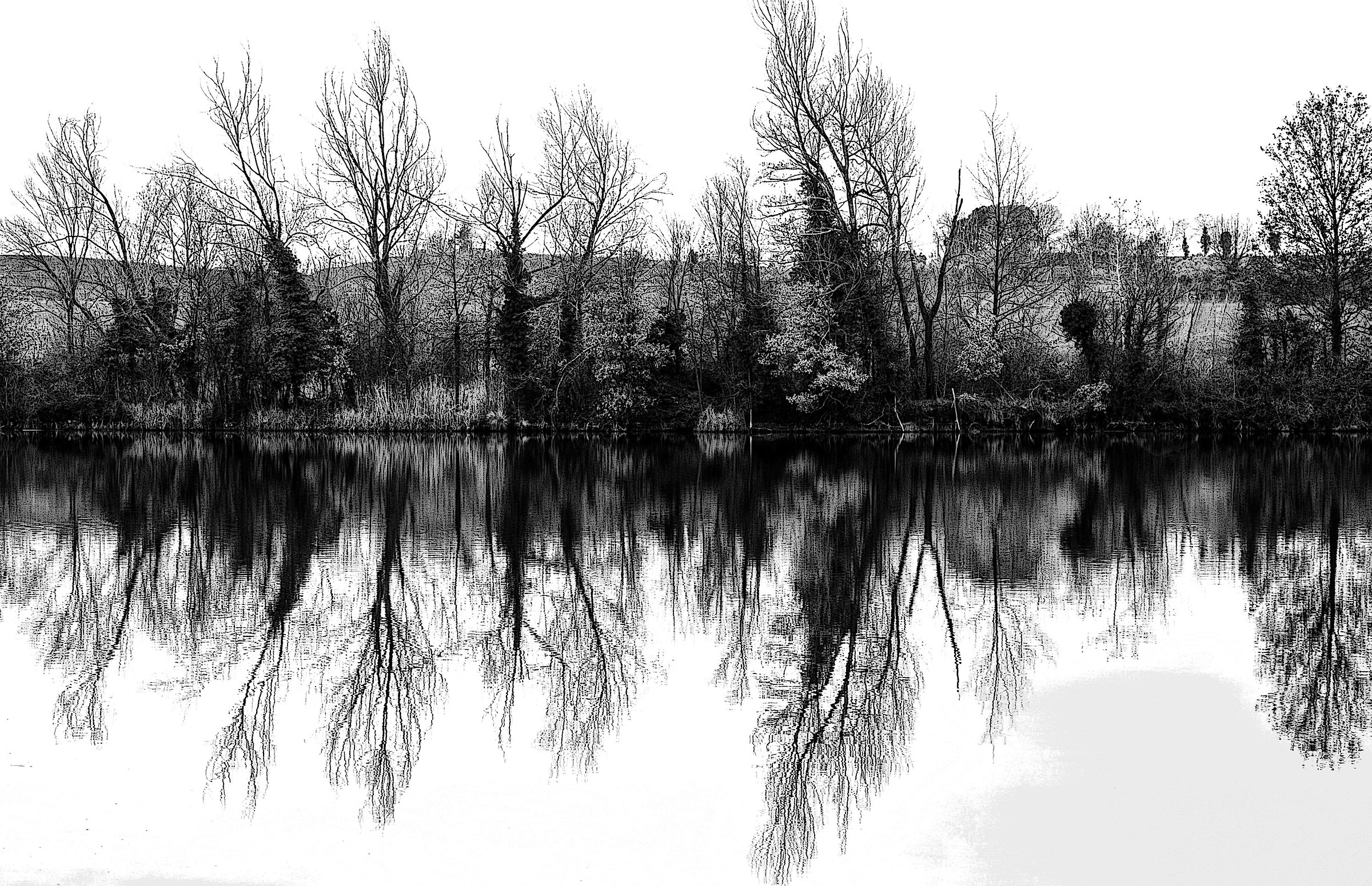 Torbiere in bianco e nero