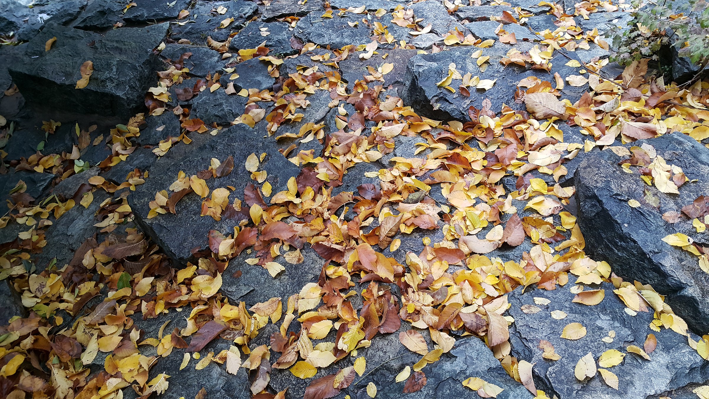 Caduta del parco di Jamshidieh