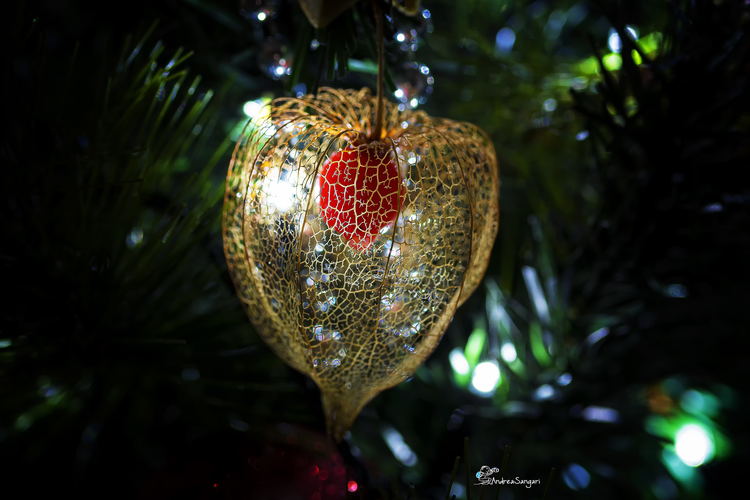 Addobbo natalizio particolare