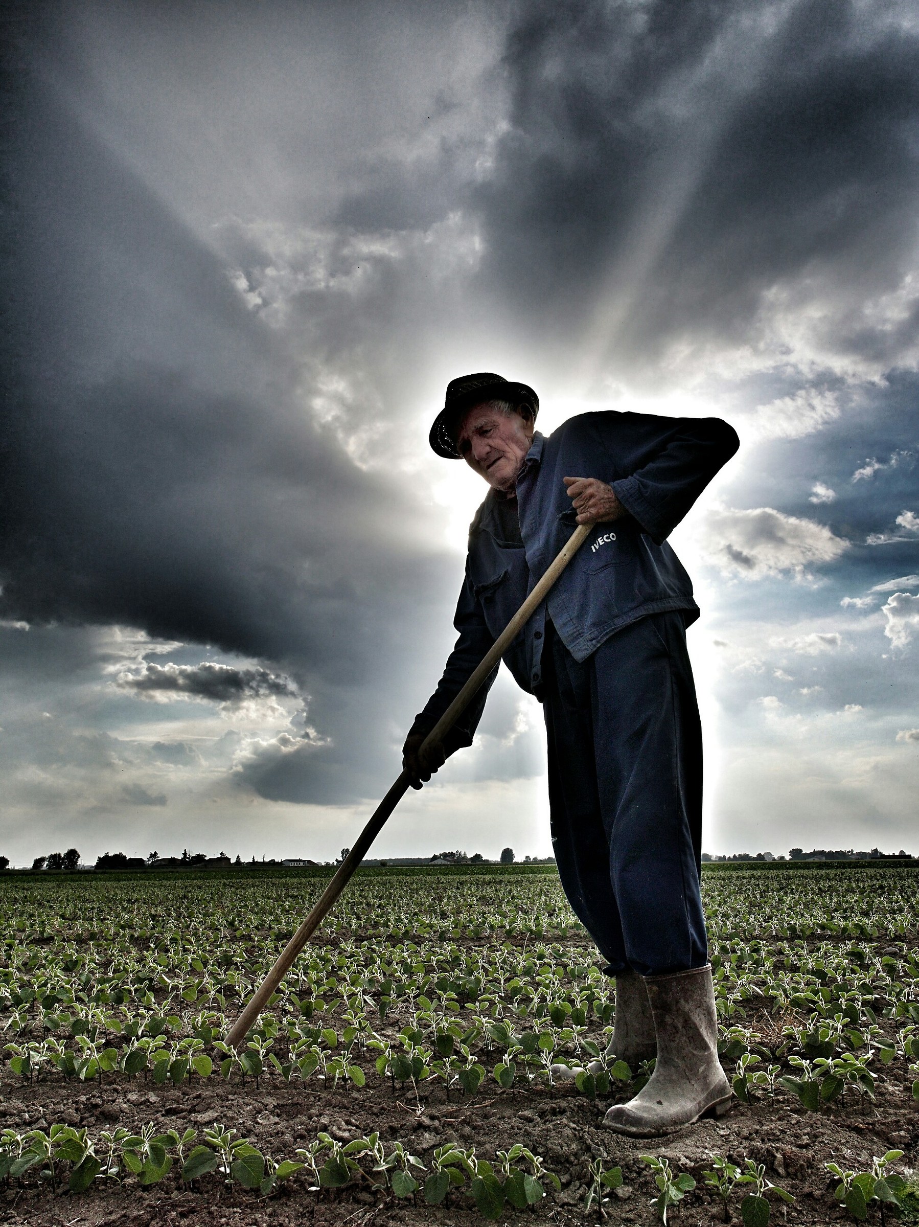 The farmer