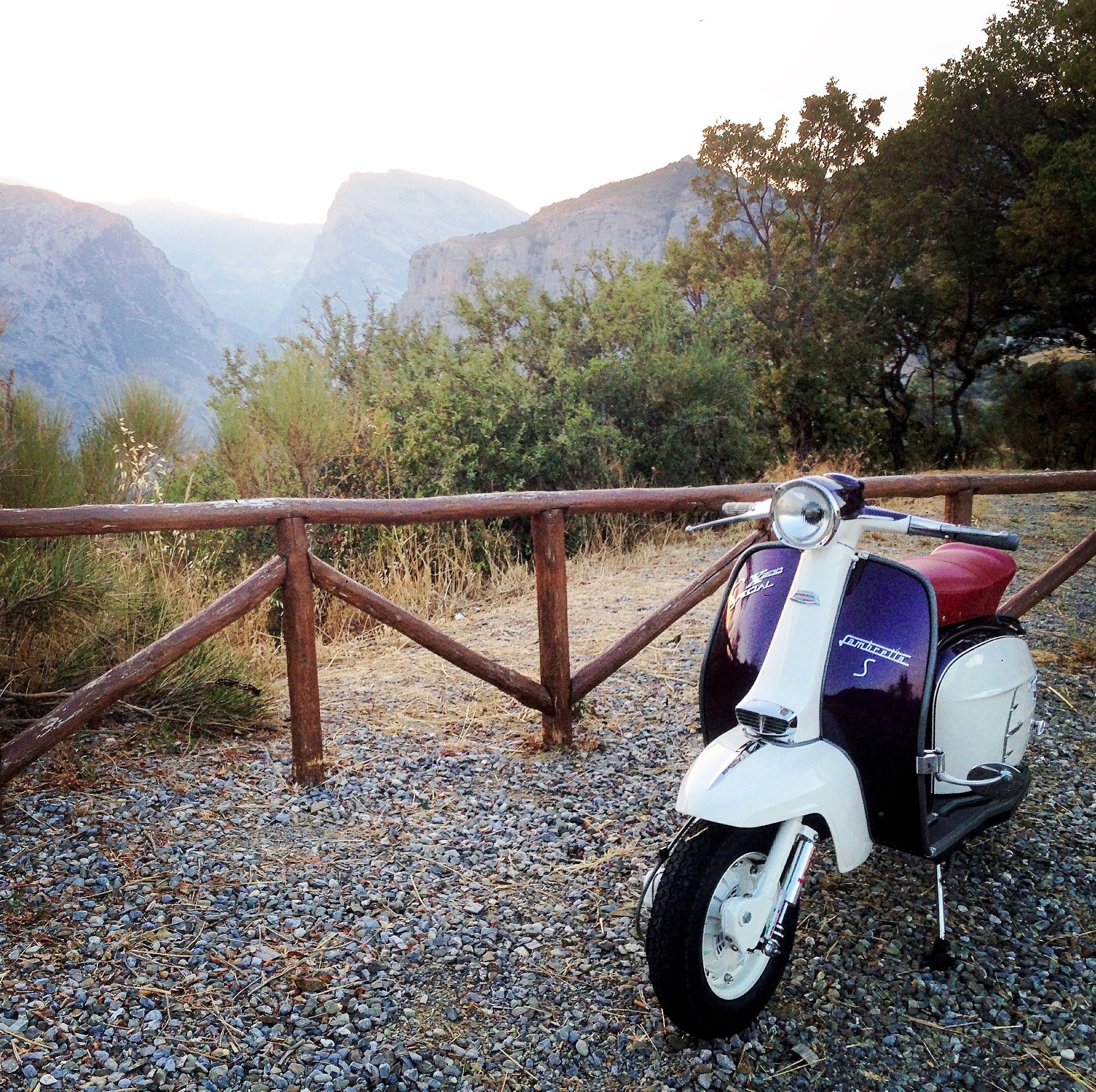 Pollino e Lambretta