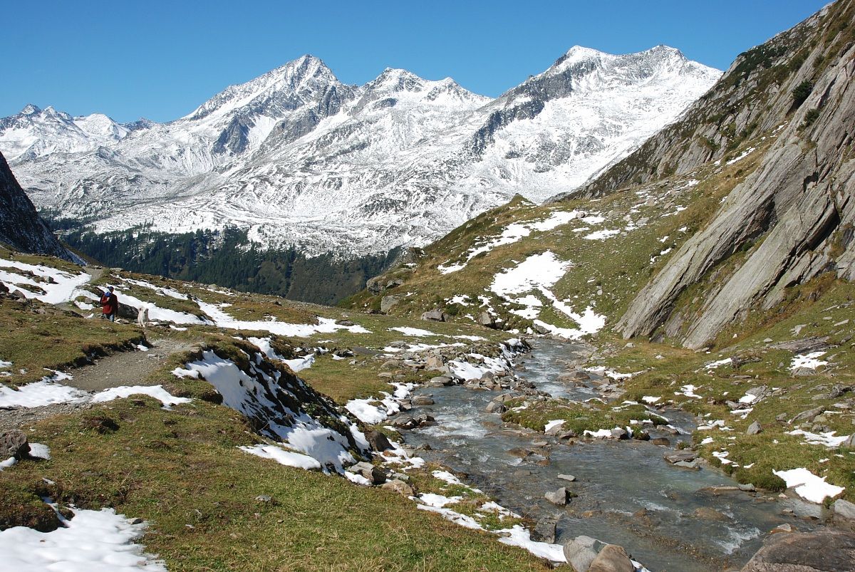 to yoke along the south tirol