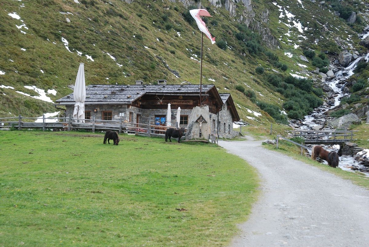 to shelter Tridentine