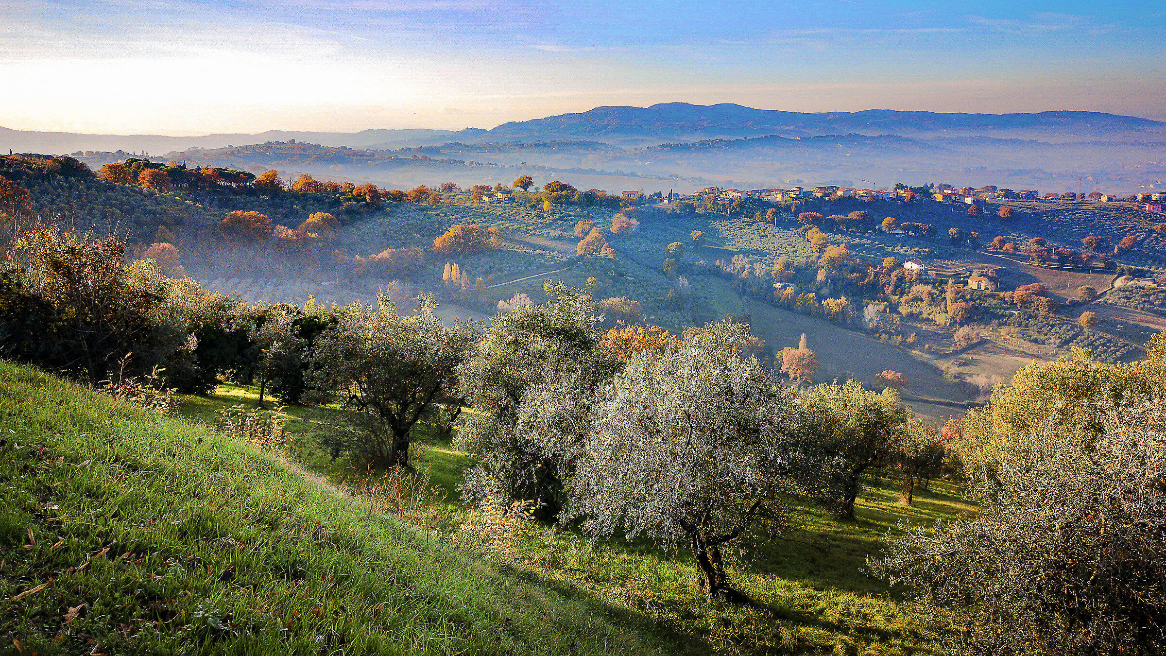 Panorama from Montefalco