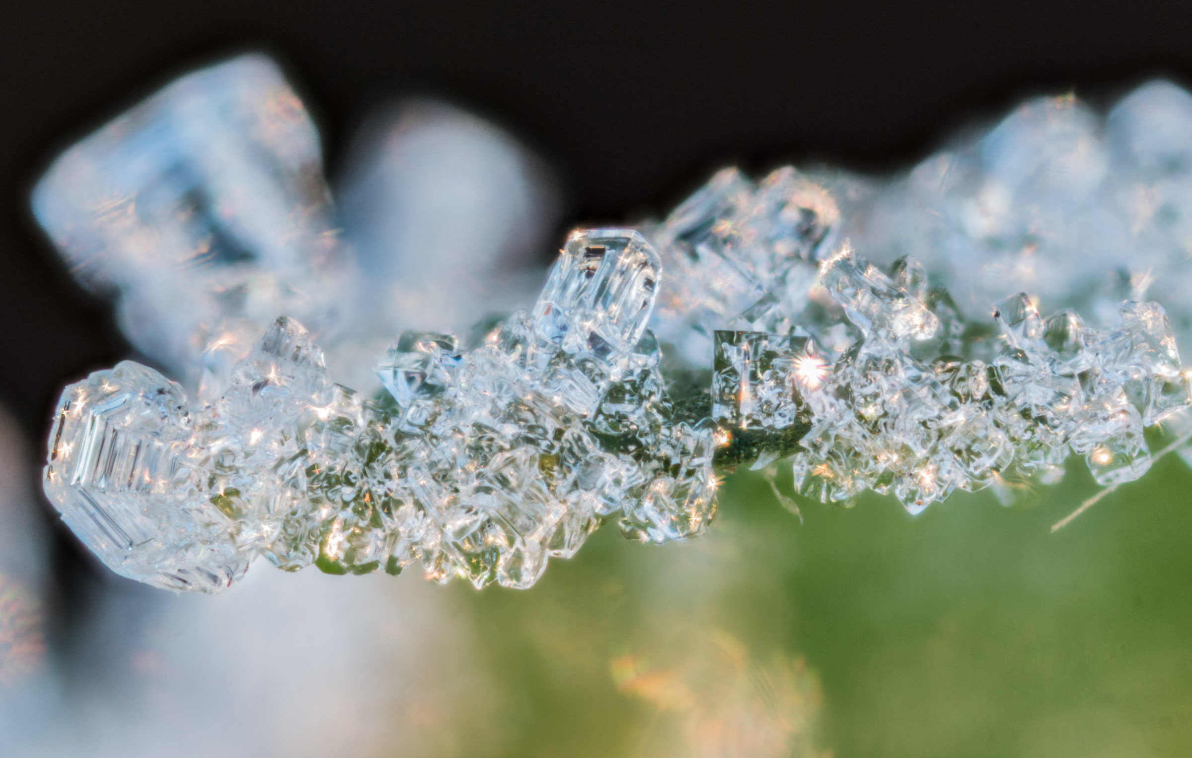 Il sole nel ghiaccio - cristalli di galaverna