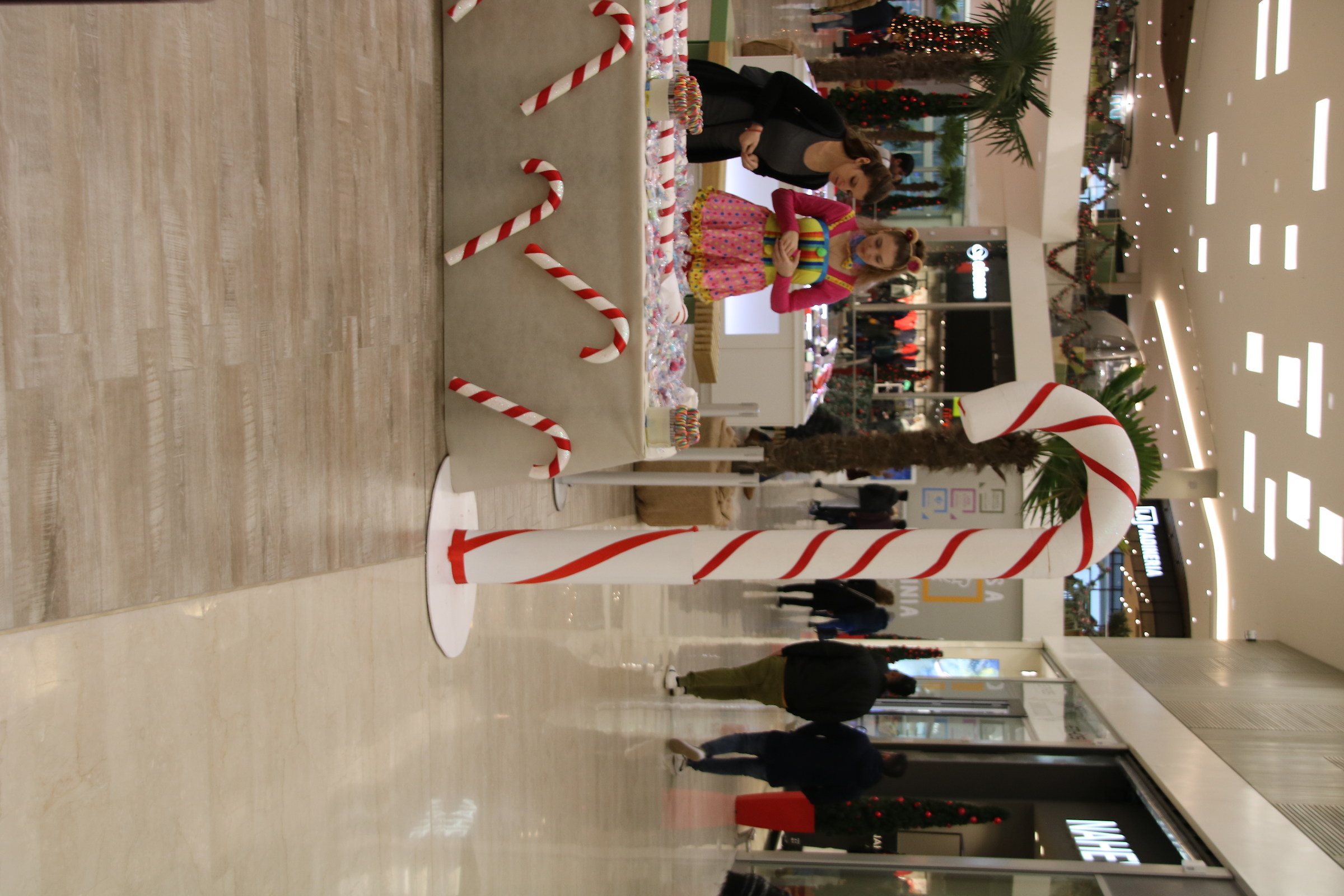 Image Test Lens Sigma N1