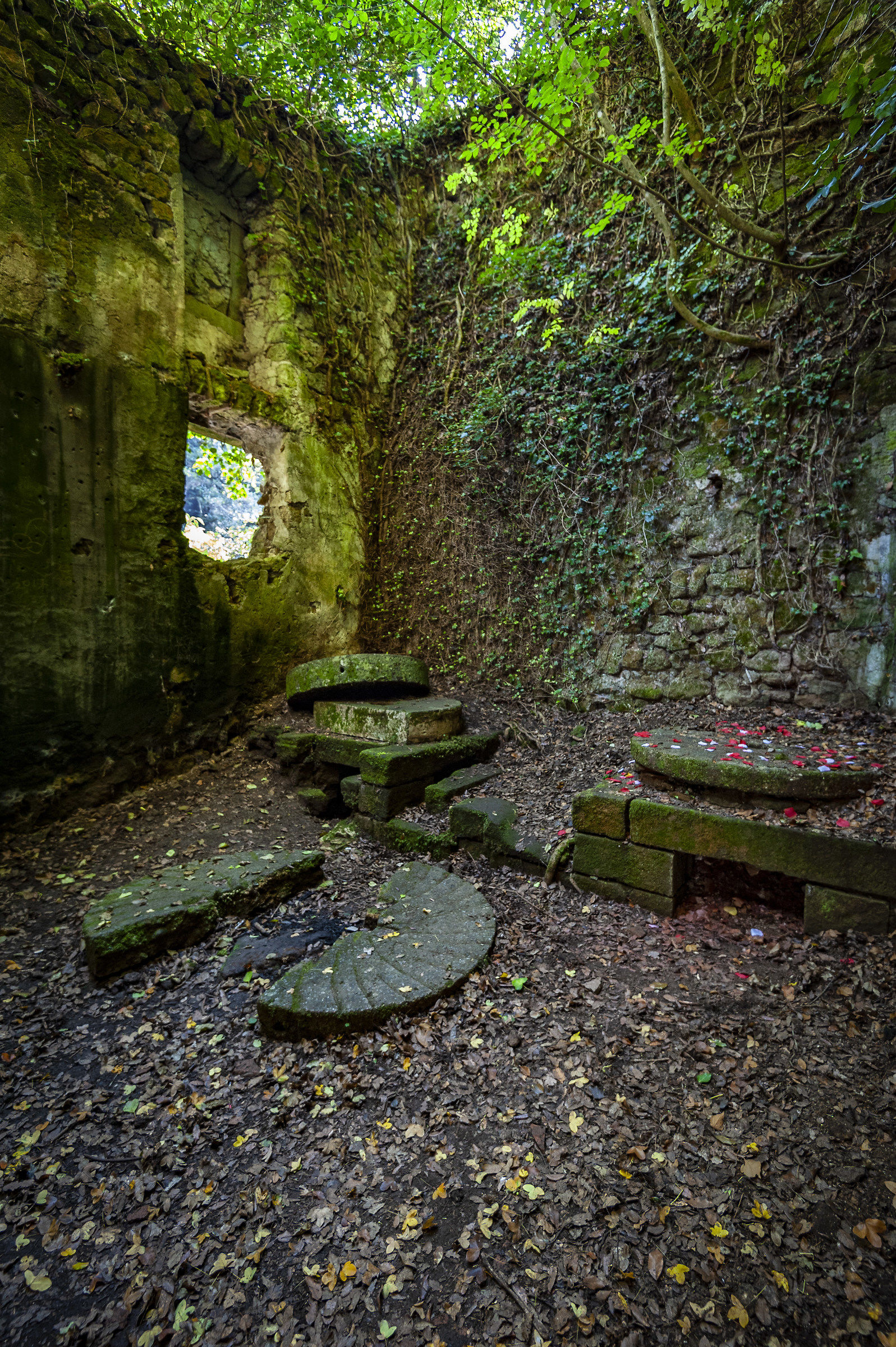 la natura vince! Cascate del Fosso Castello di Chia