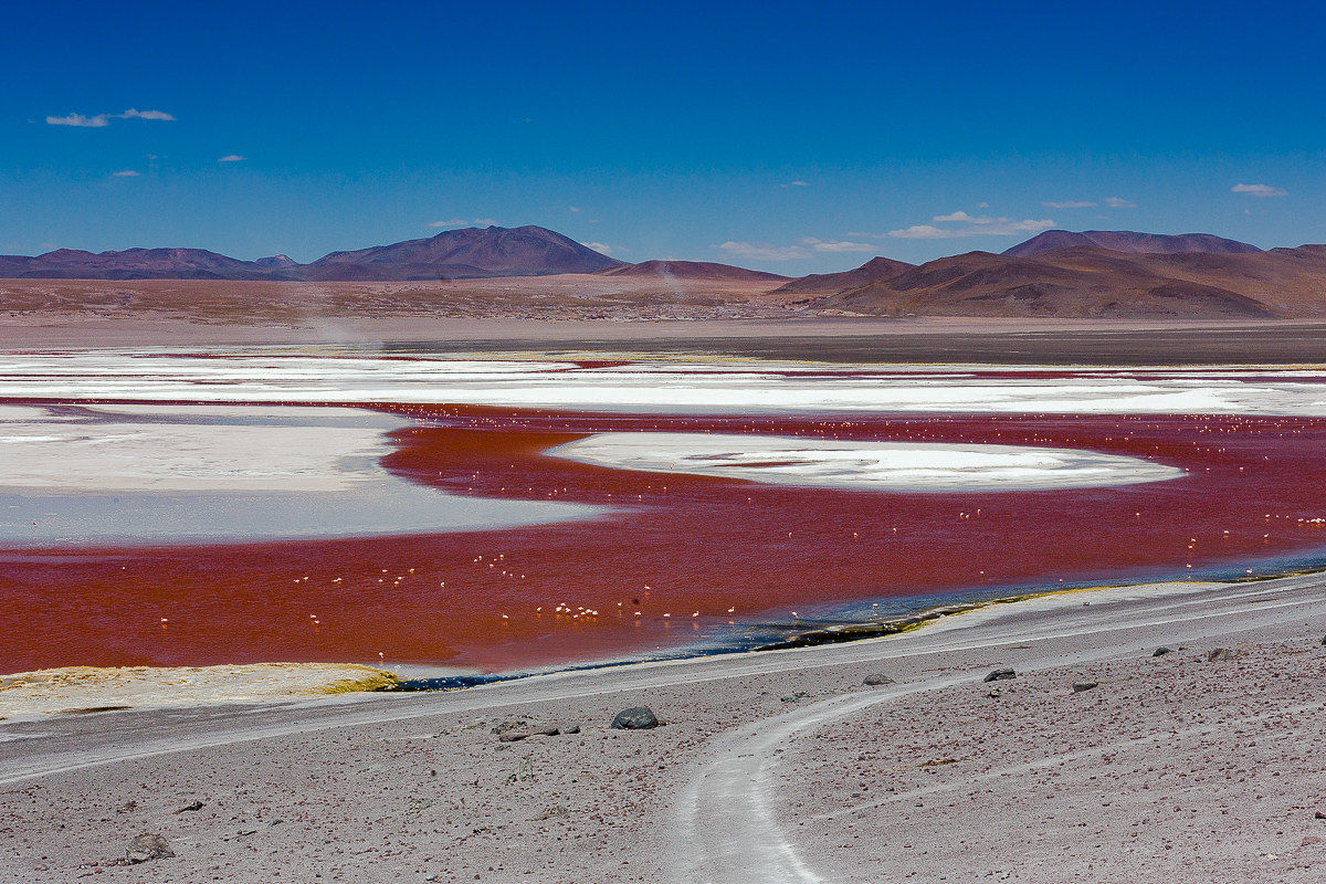 "Discesa"in Paradiso.