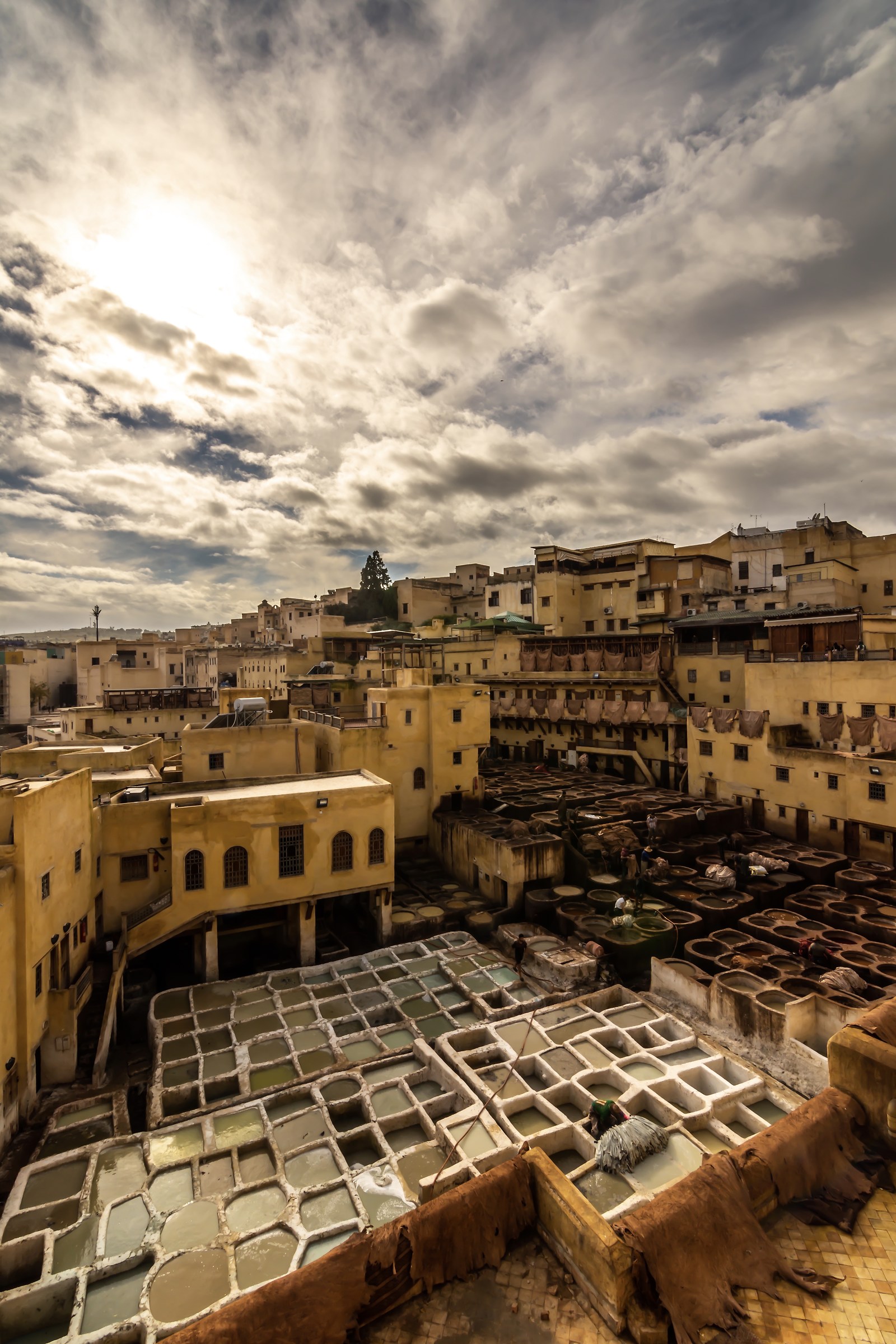 Fès Tannery, Morocco