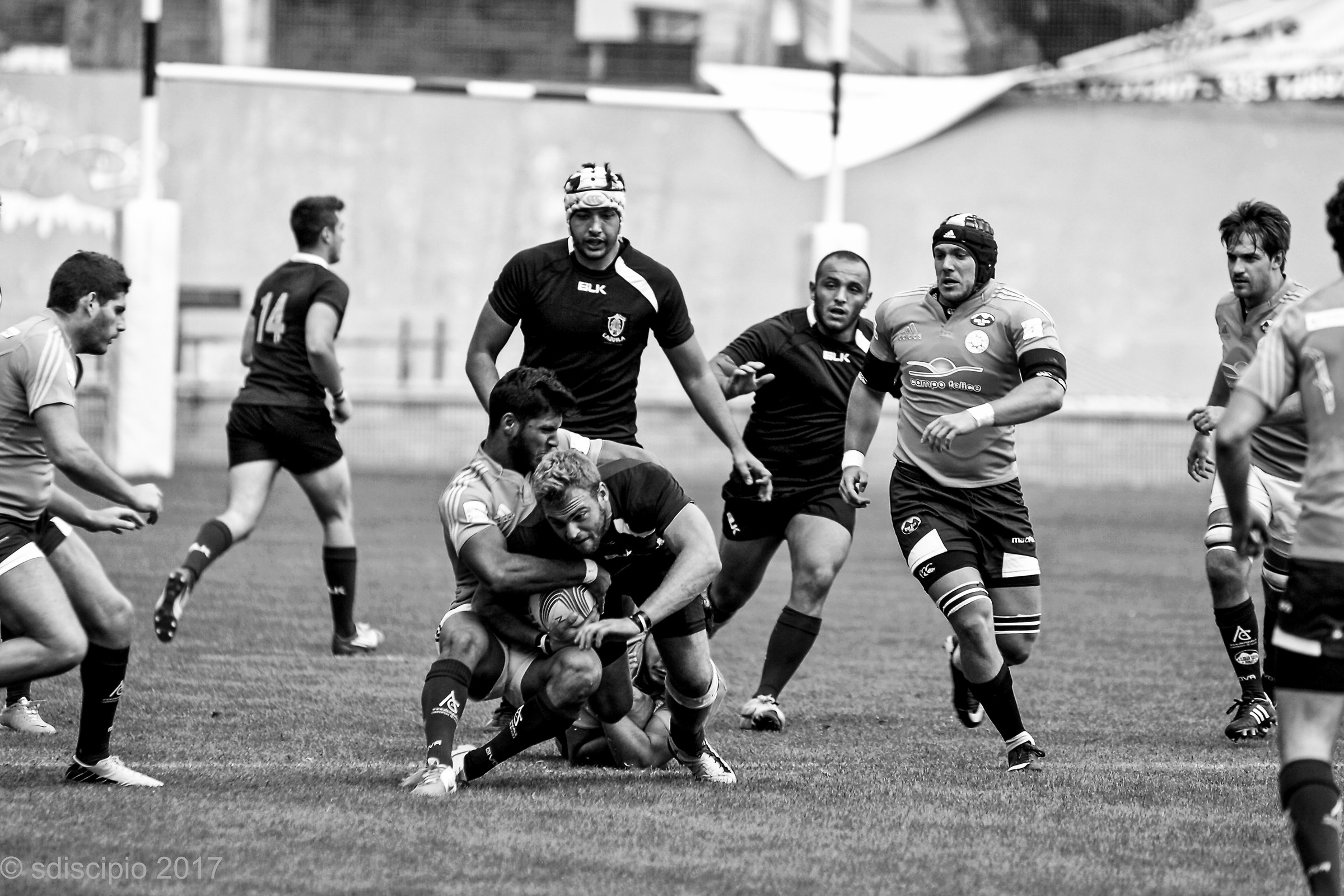 Rugby 8