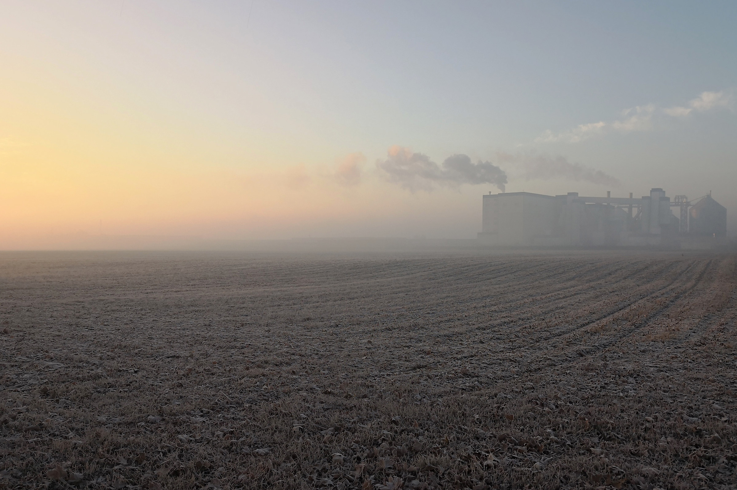 Alba fredda e Nebbiosa in pianura