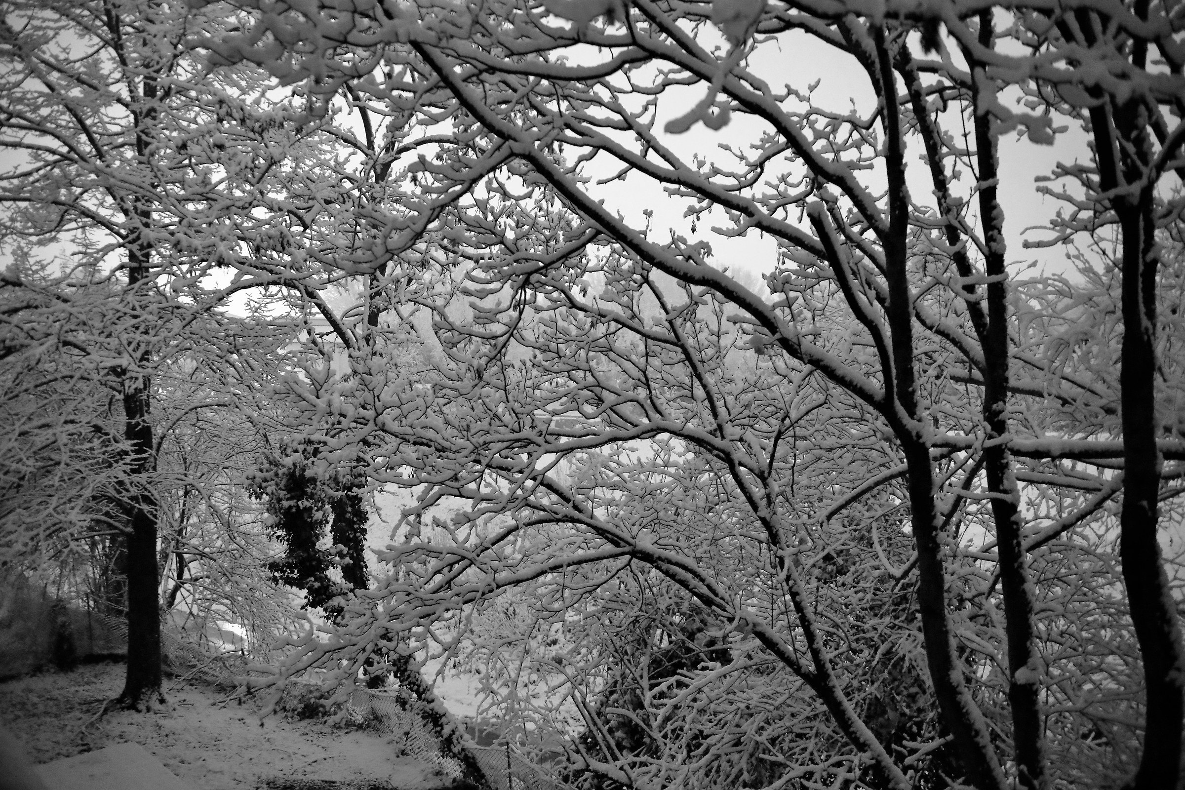 è arrivato l'inverno