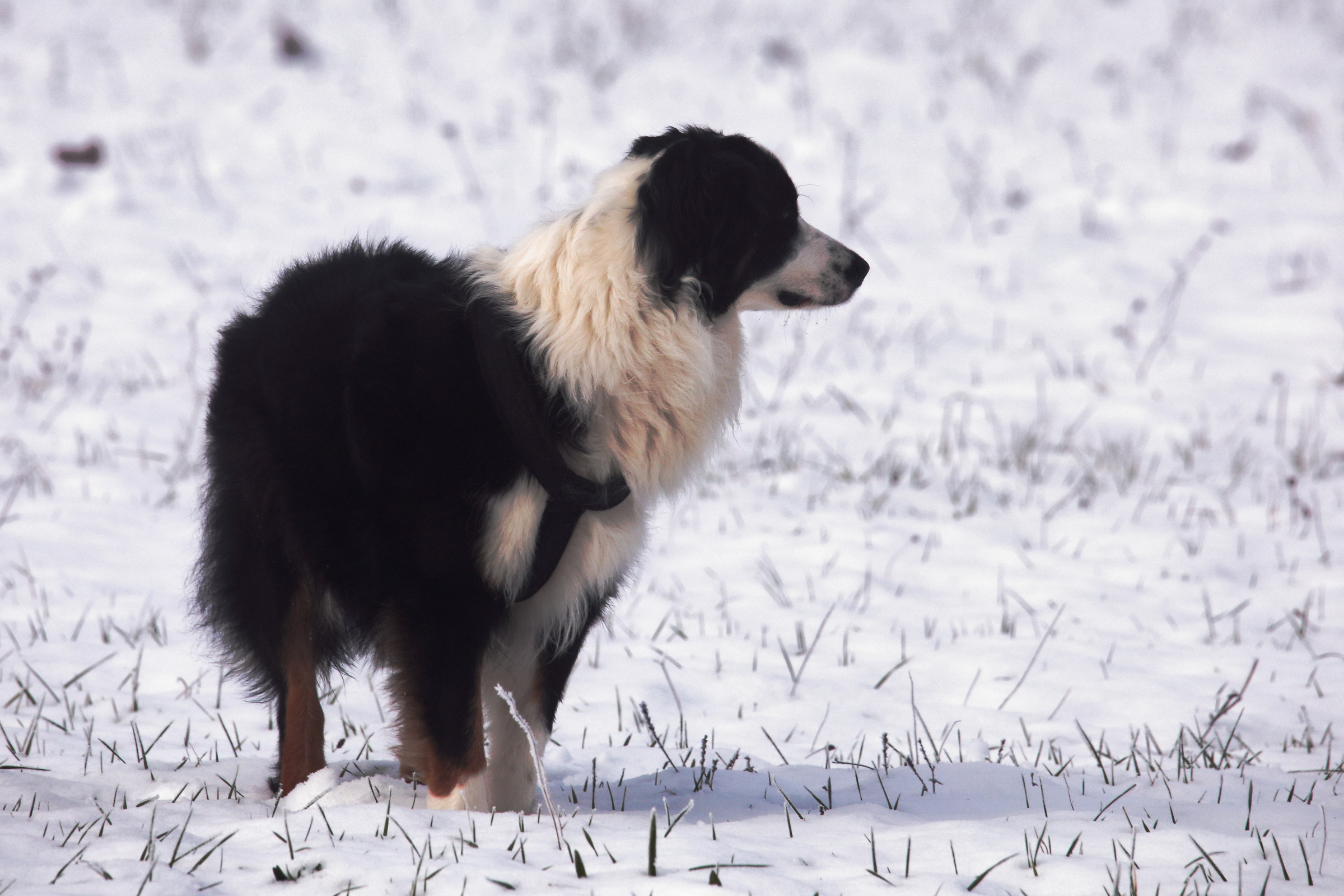 Winter has come but she has fun