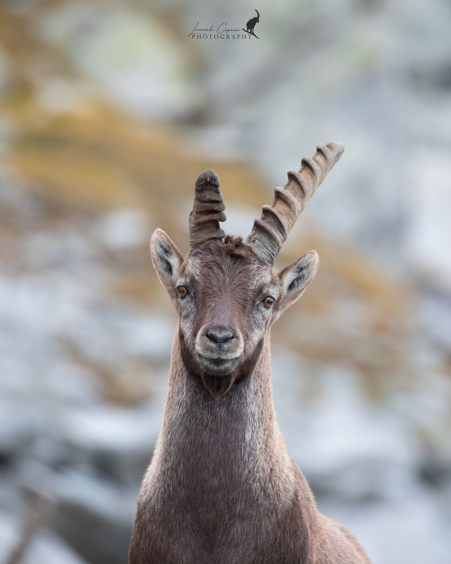 Incompleteness Beauty