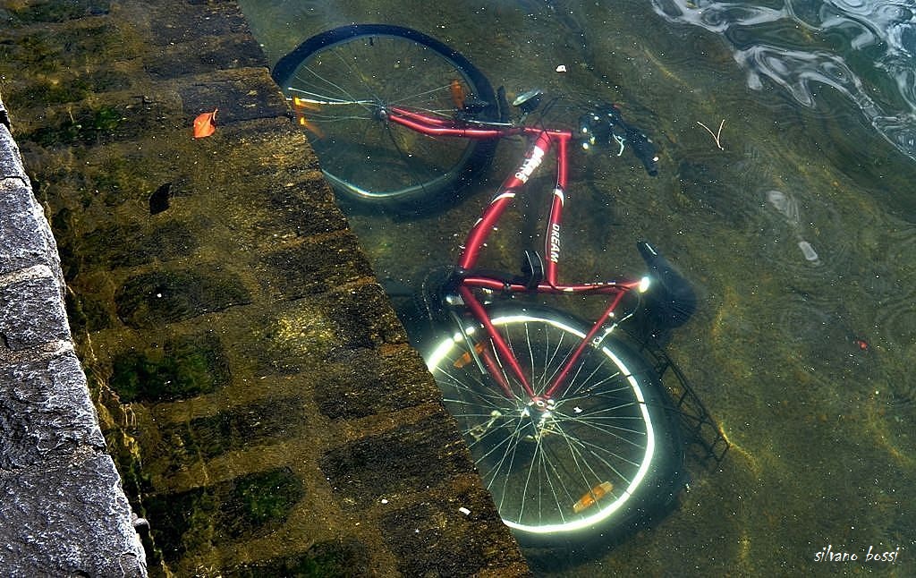 fish to two wheels ..