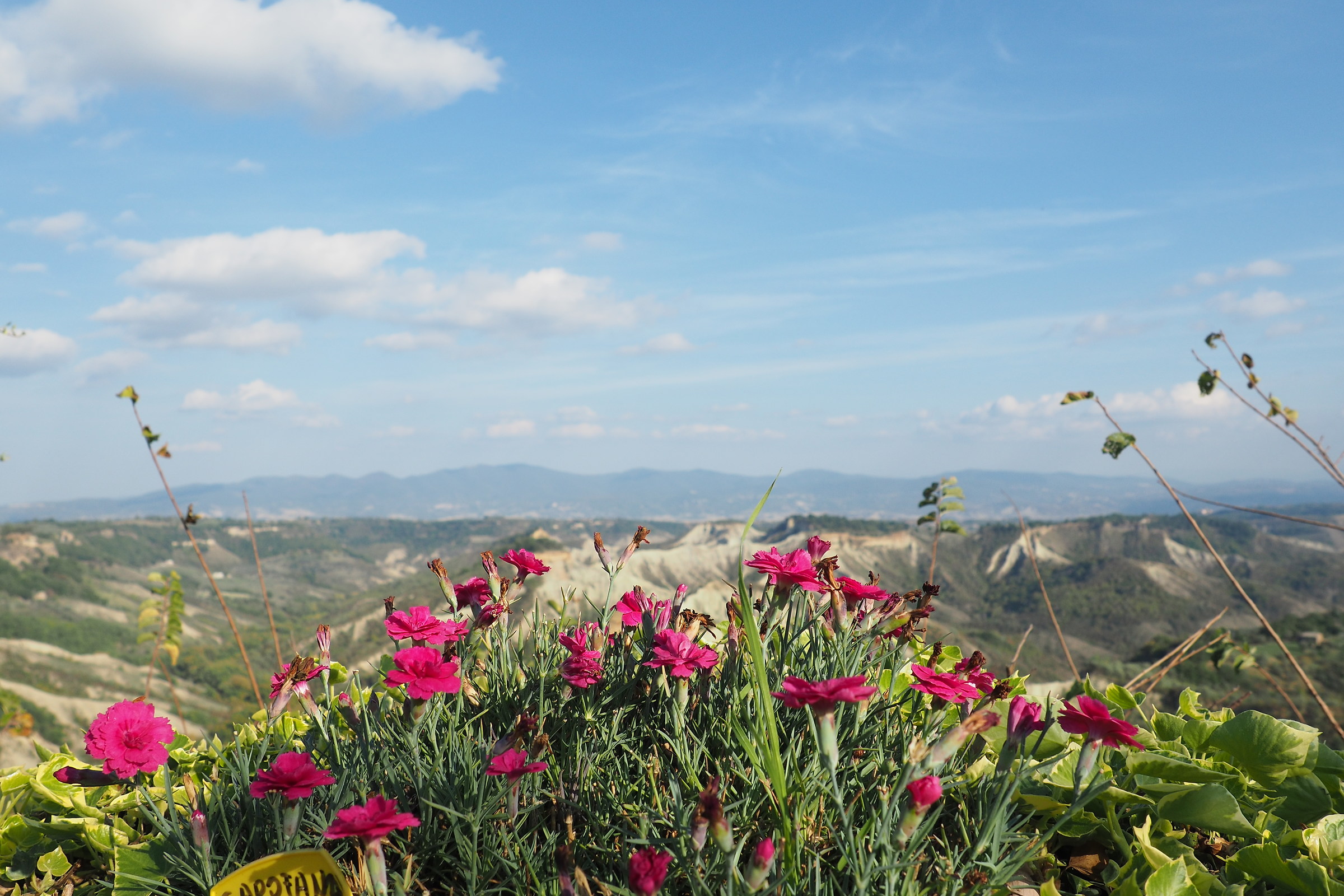 La bellezza della natura
