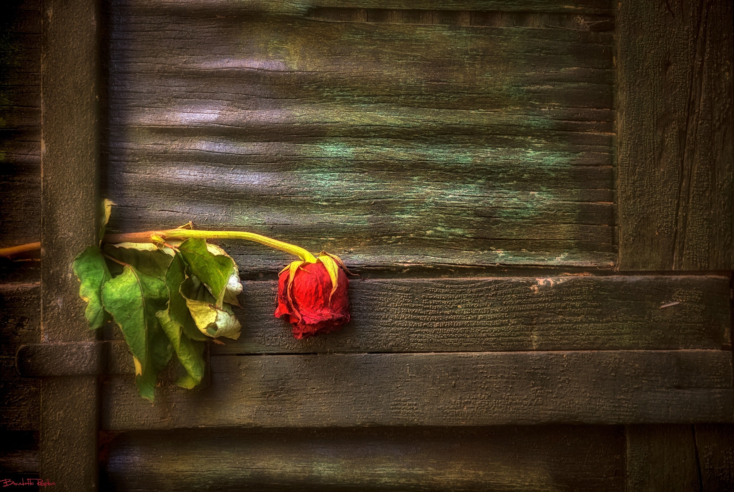 incontri veneziani.....