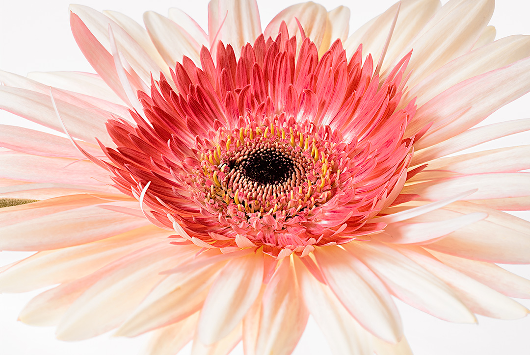 e' autunno o estate?