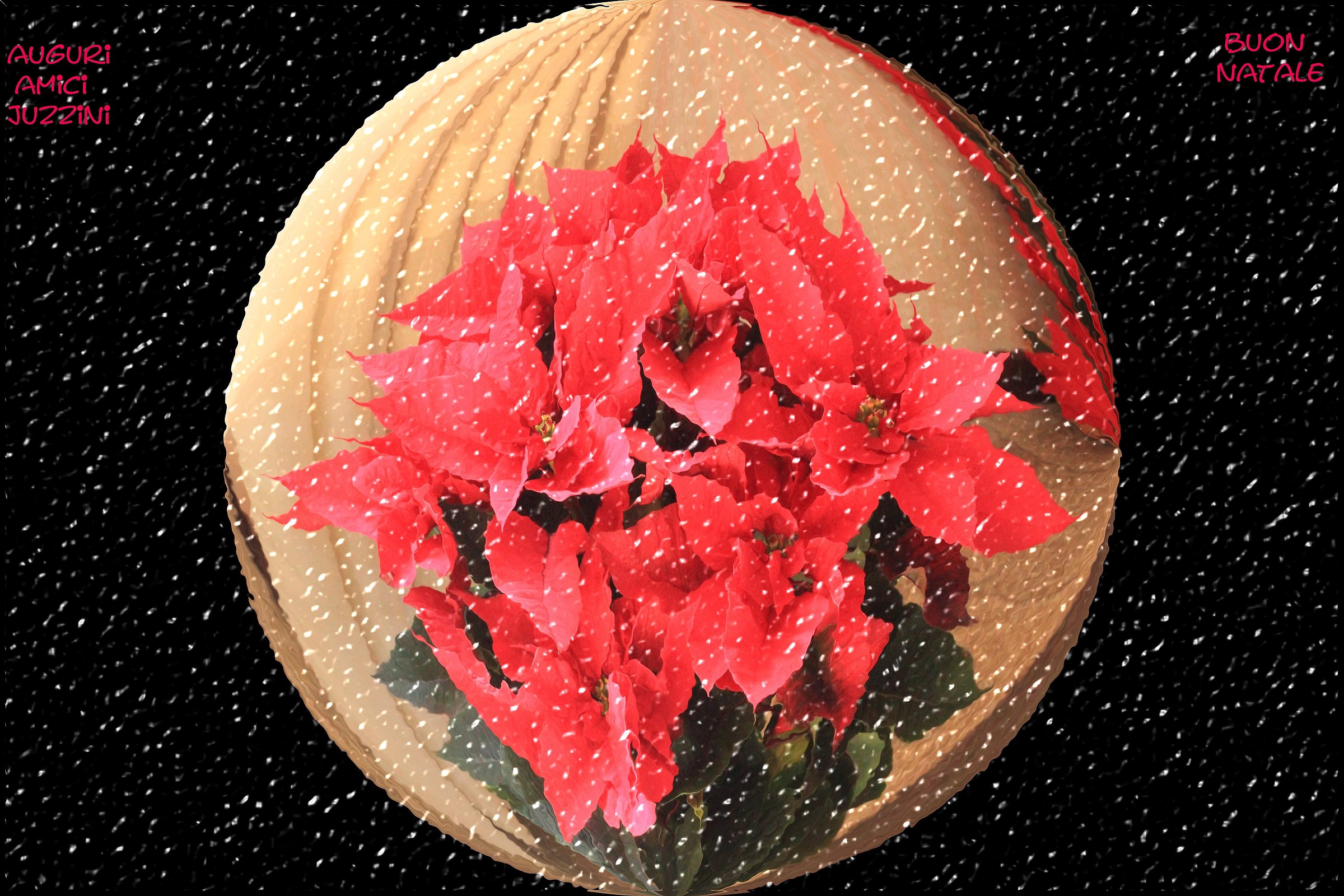 Merry Christmas to All