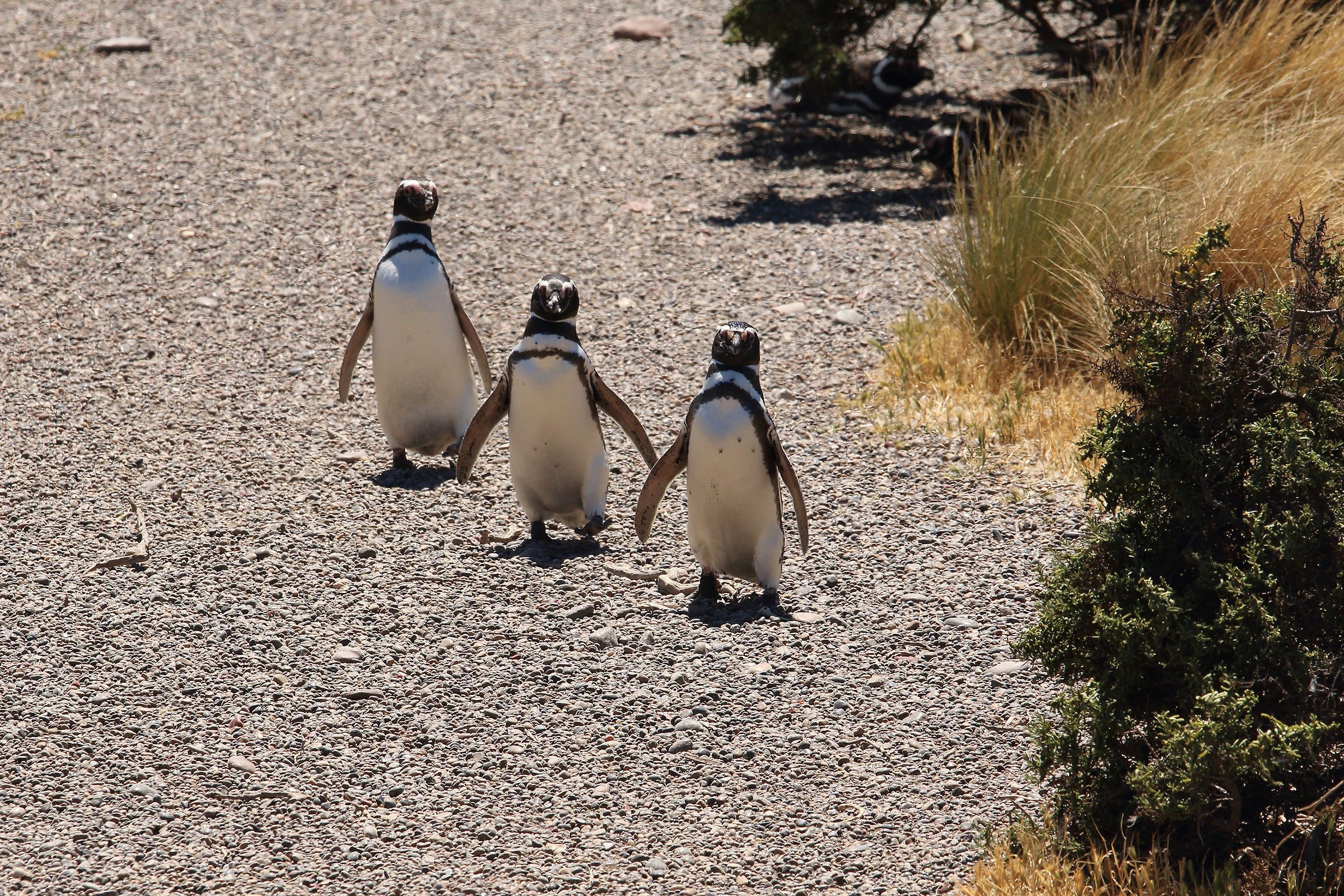 In line for three... (no remainder)