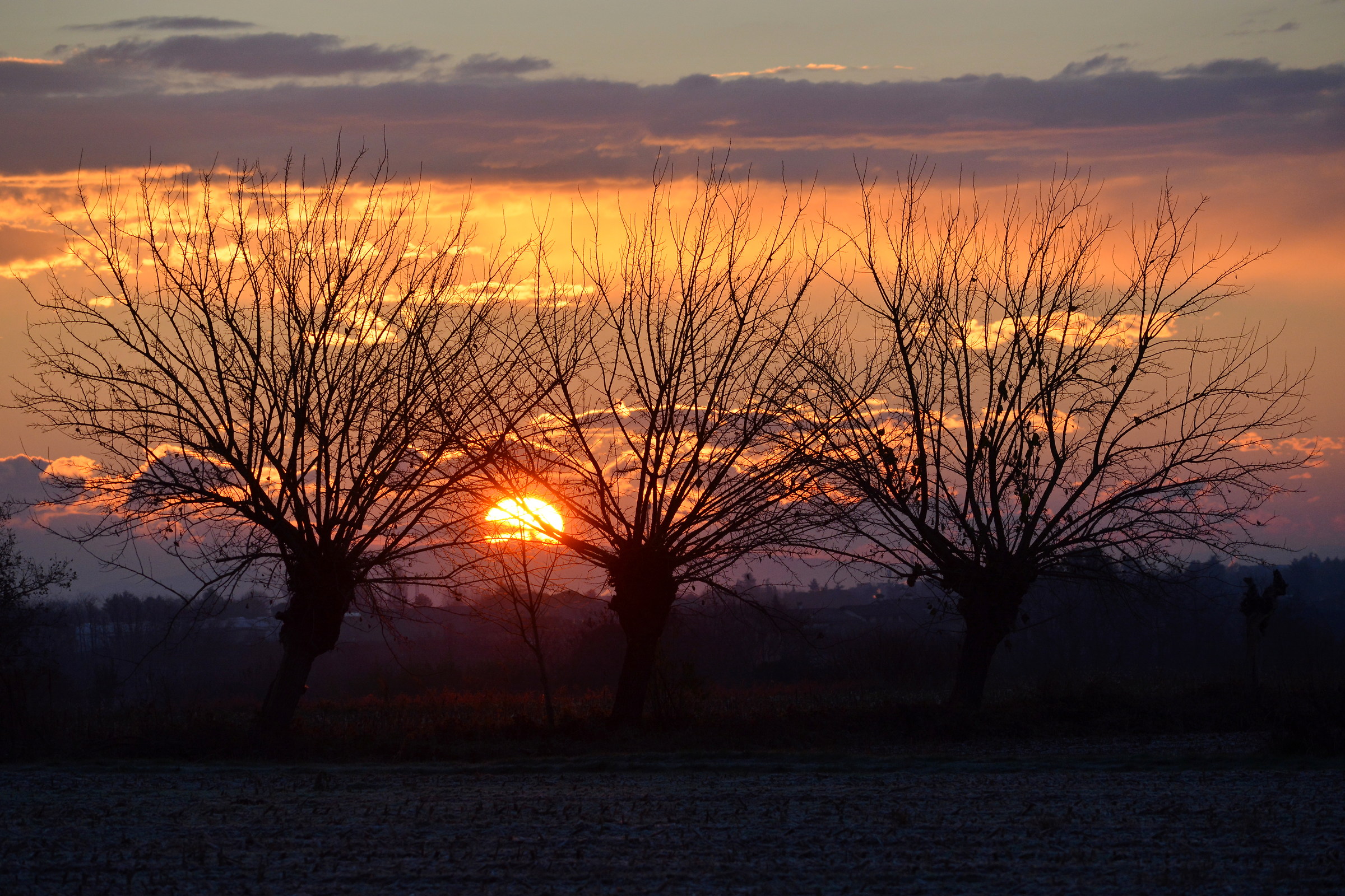 Sunrise on the Frisian hills