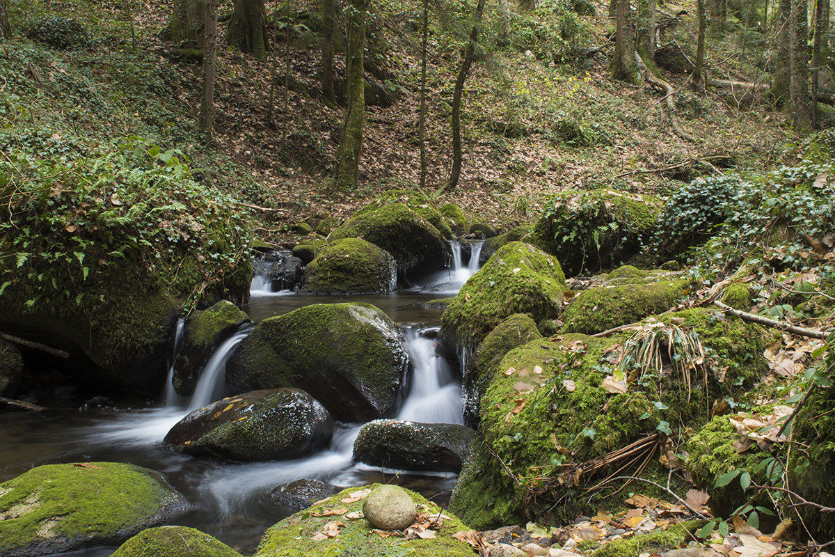 Waterfalls at Vivo d'orcia