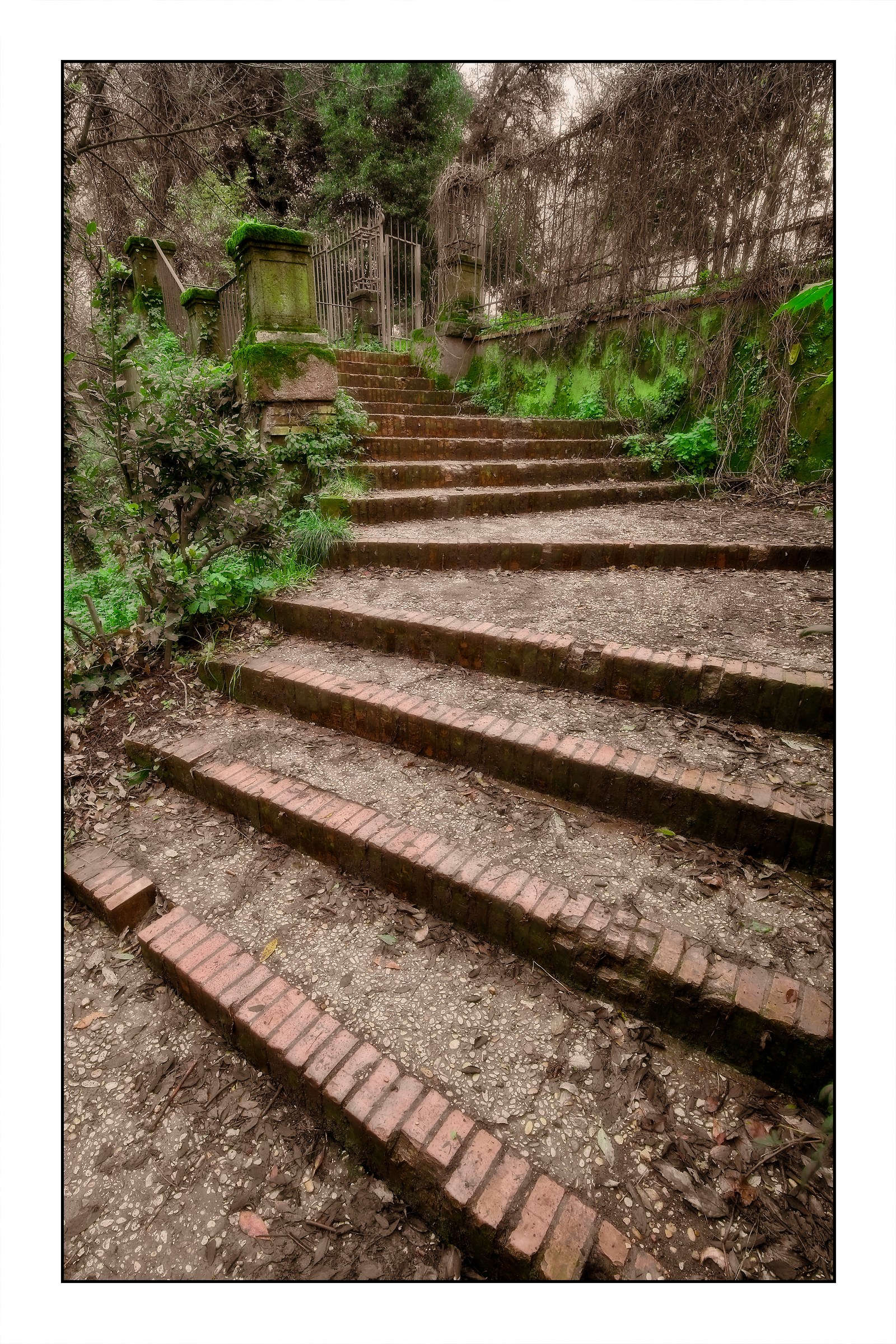 Autumn at Villa Borghese 2