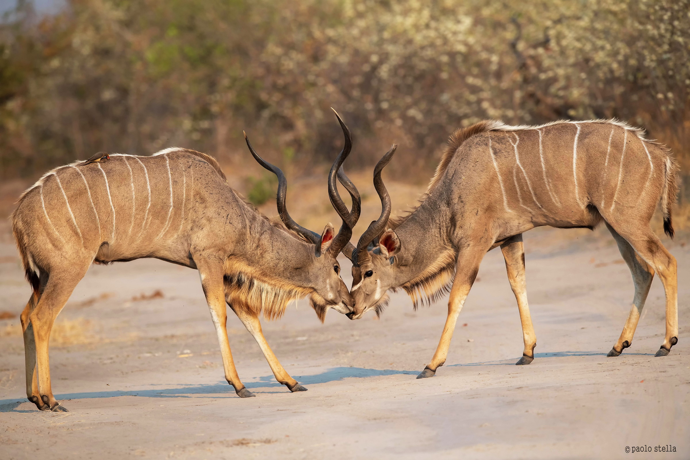 The beginning of the challenge