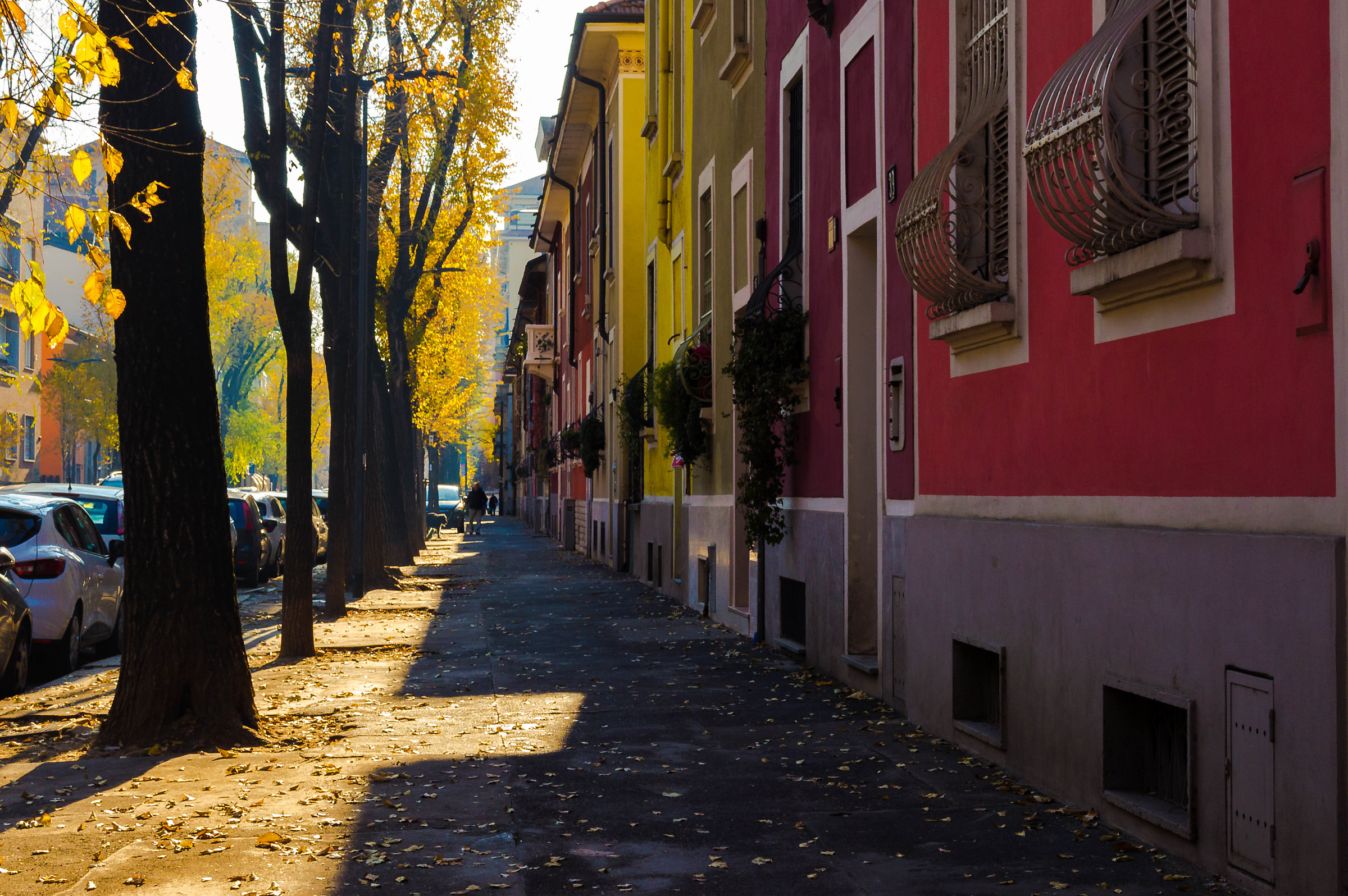 Il sole invernale che inonda le vie di Milano