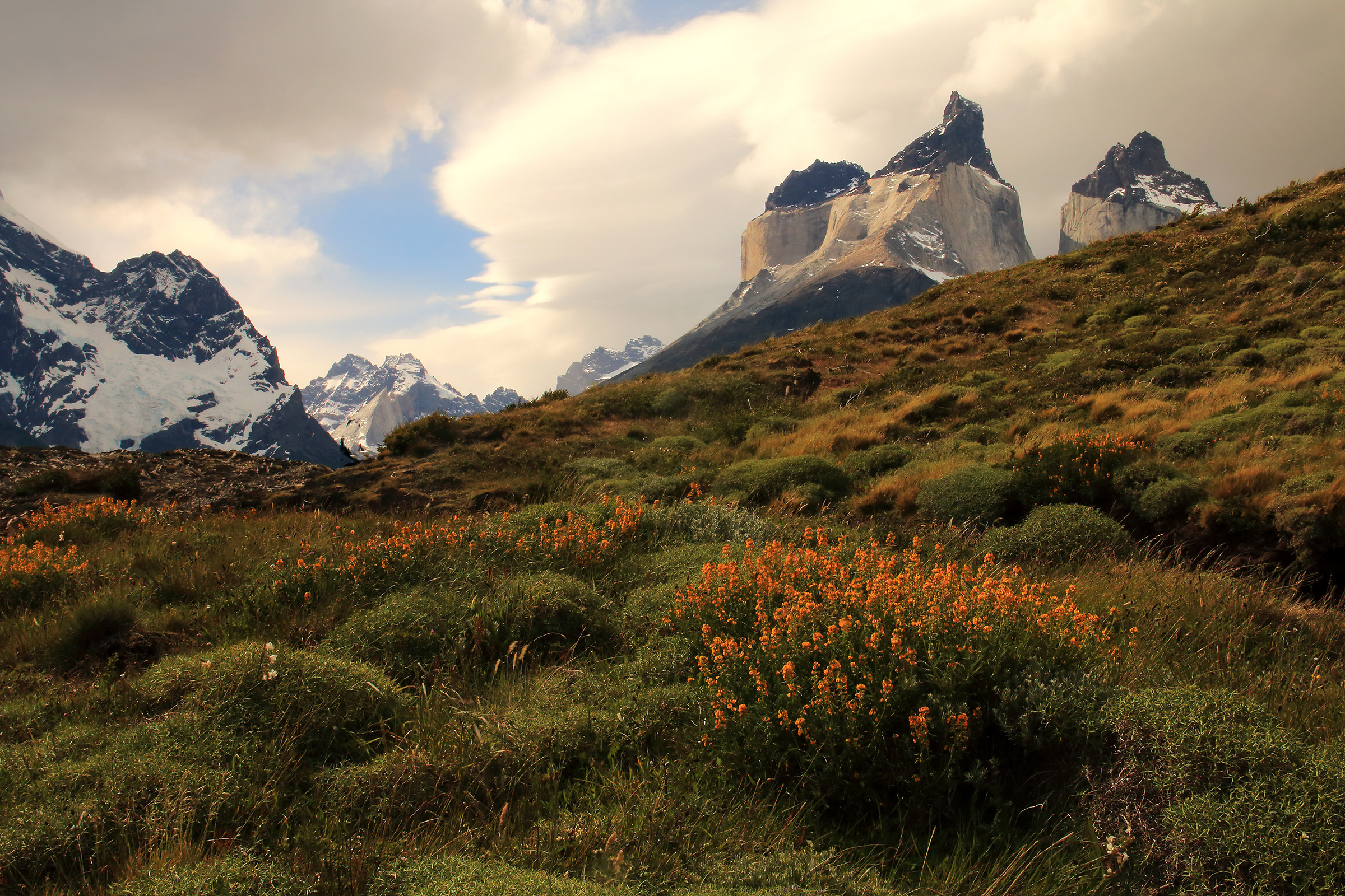 At the slopes of Paine