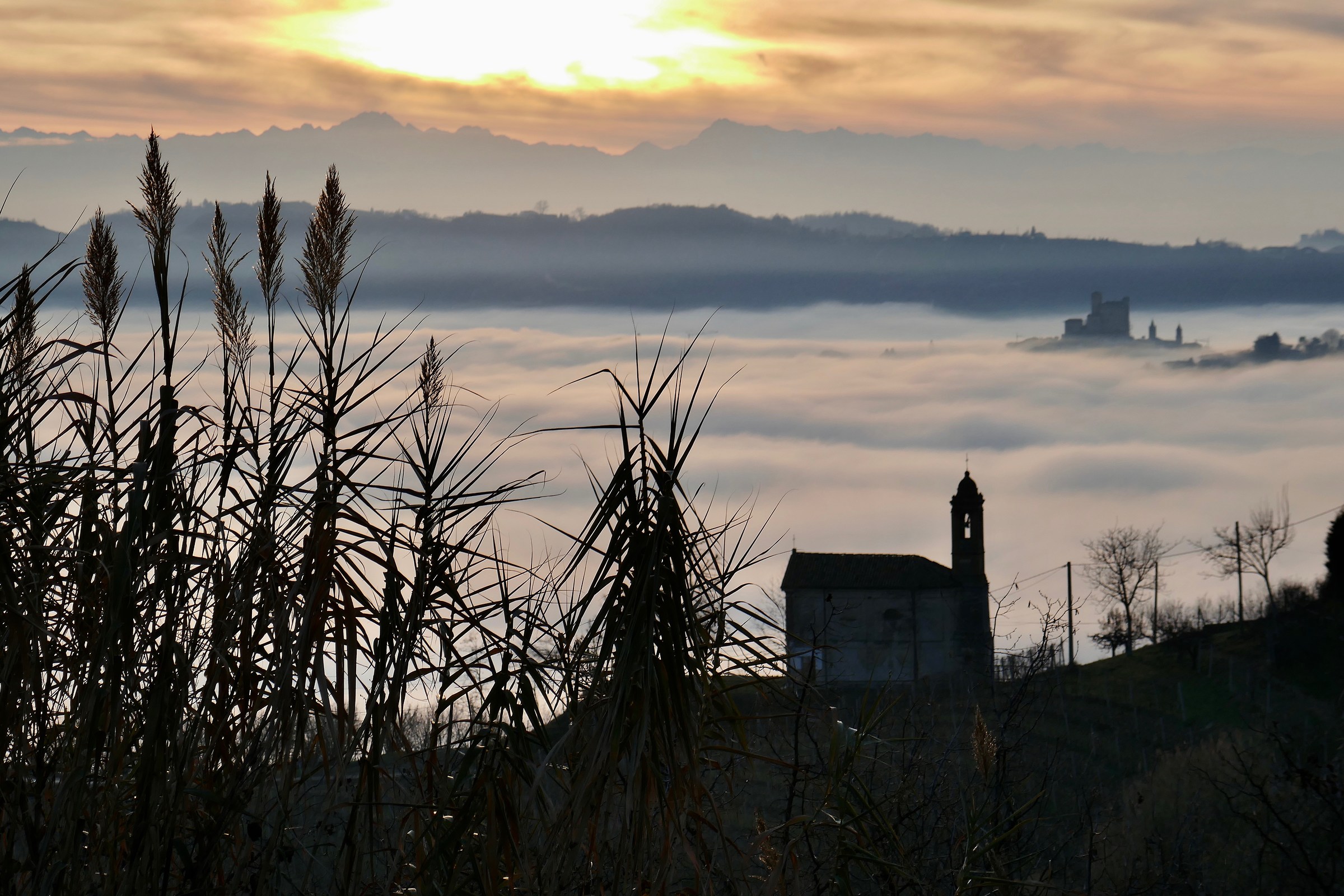 Oriolo (Montelupo) 18.12.18