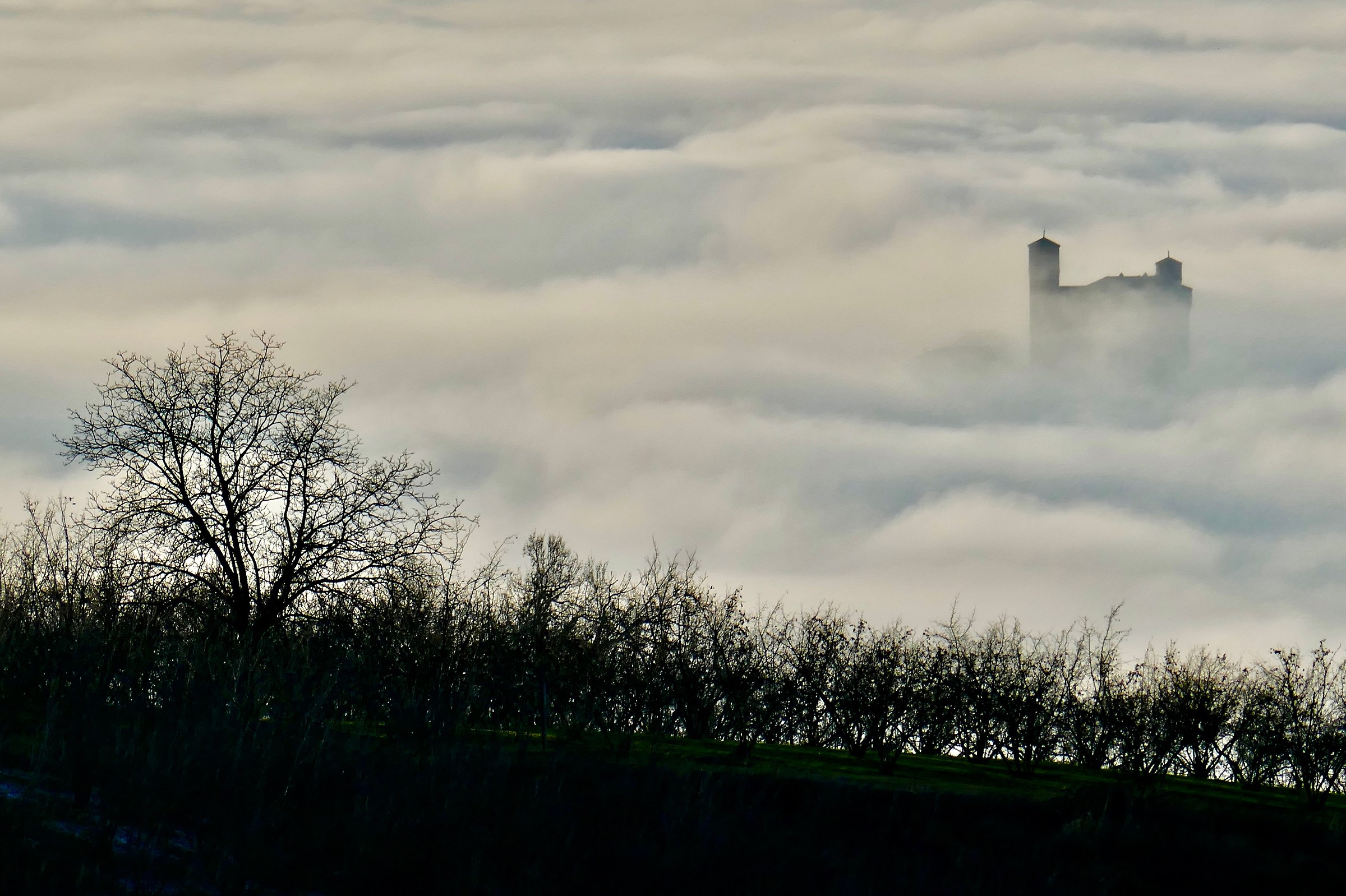 Il castello di Serralunga nel mare di nebbia