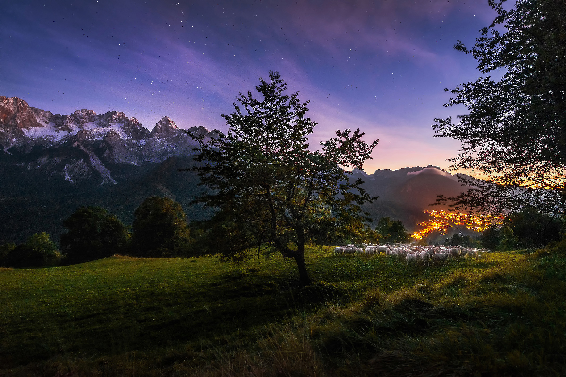 Pecore sotto le montagne