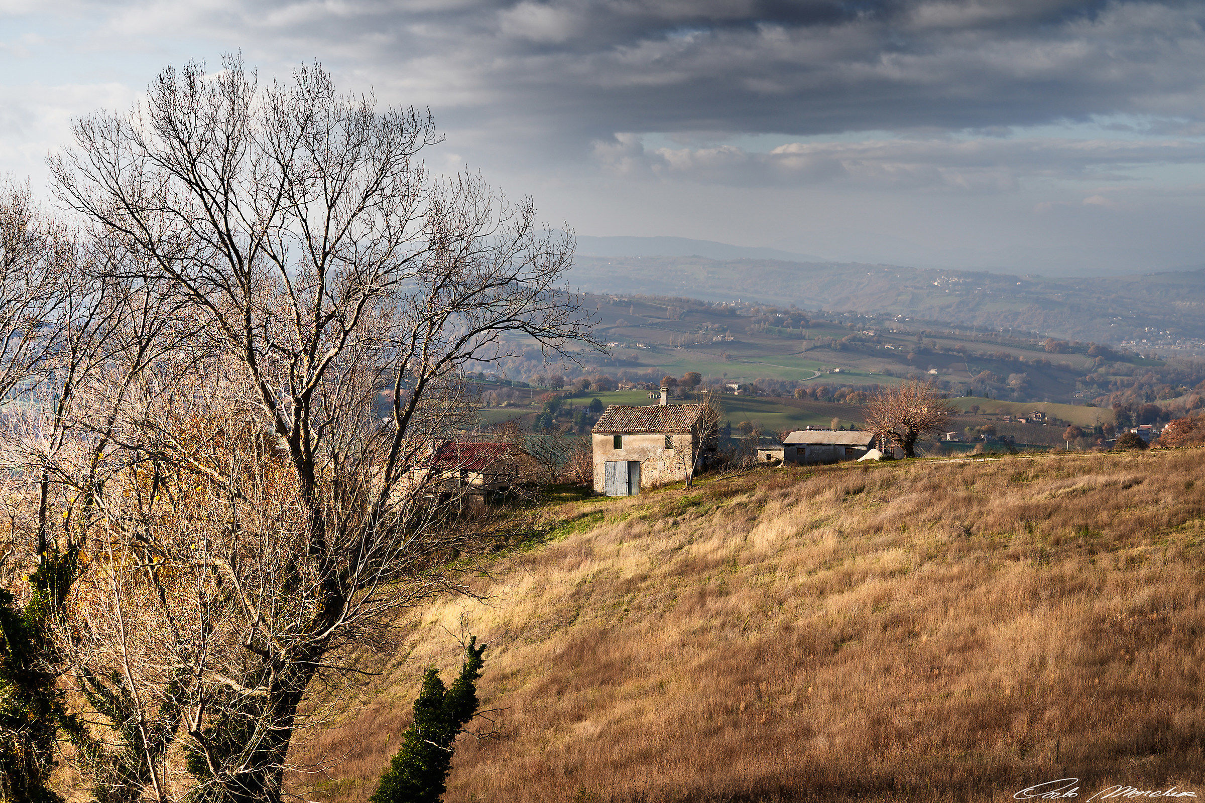 The house from the Golden Meadow