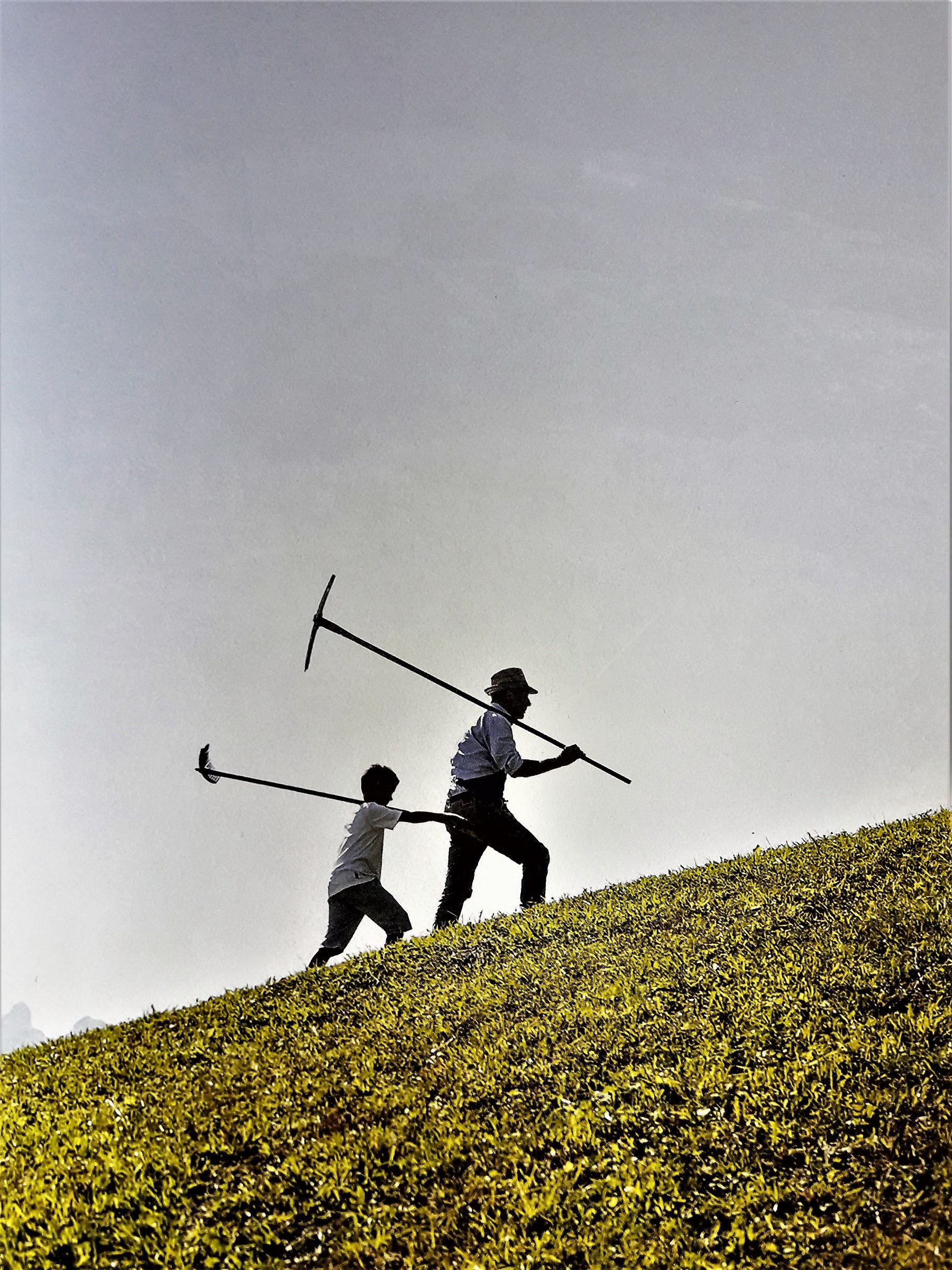 A little "autumn in South Tyrol-2-