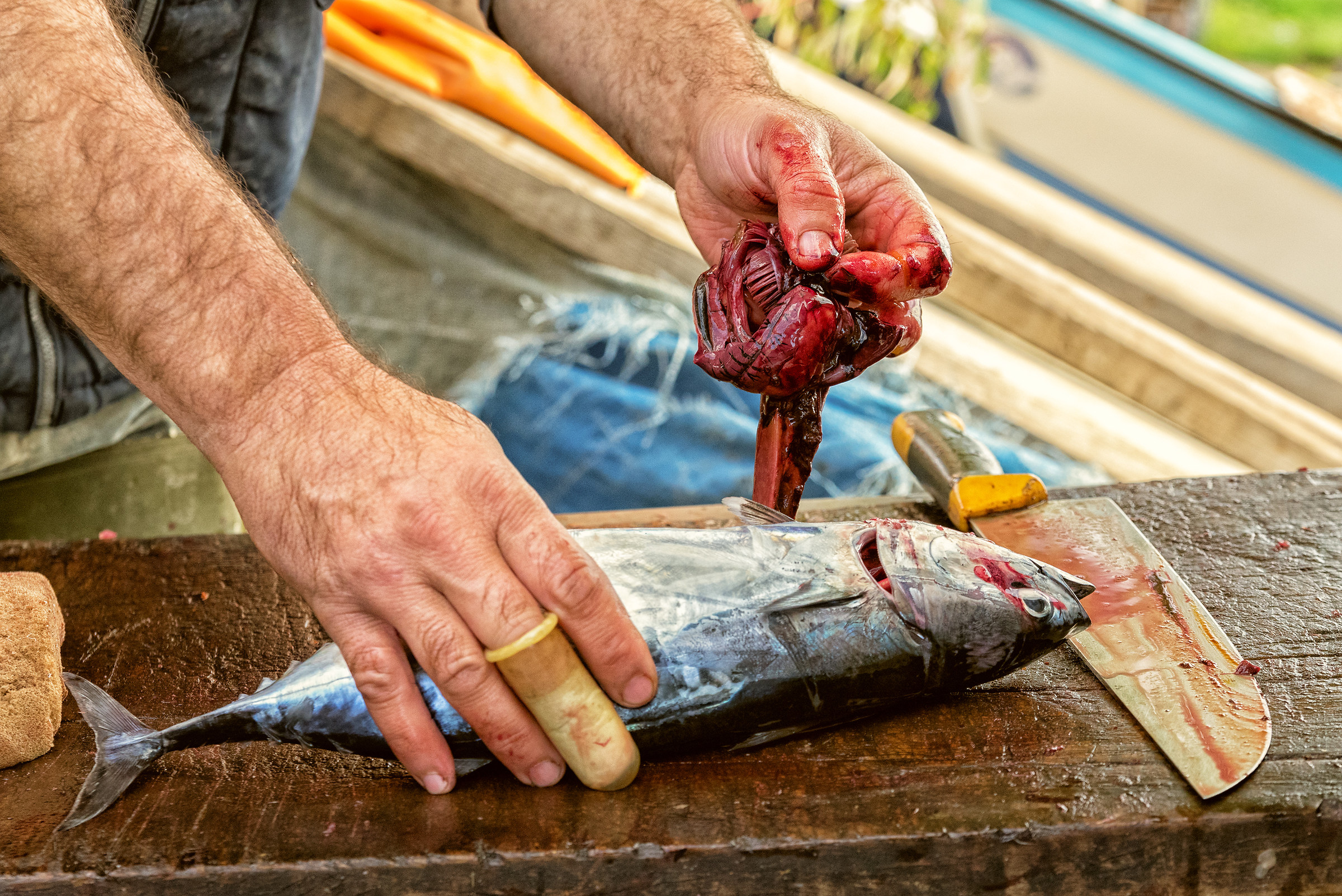 Truce e continua la vita